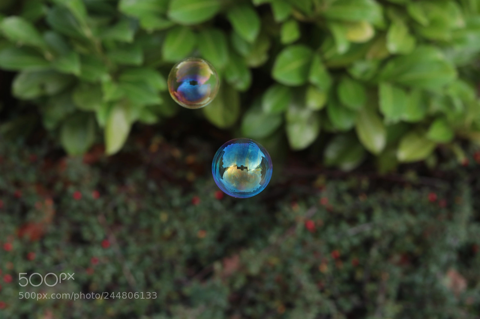 Canon EOS 80D + Canon EF 50mm F1.8 STM sample photo. Bubble photography