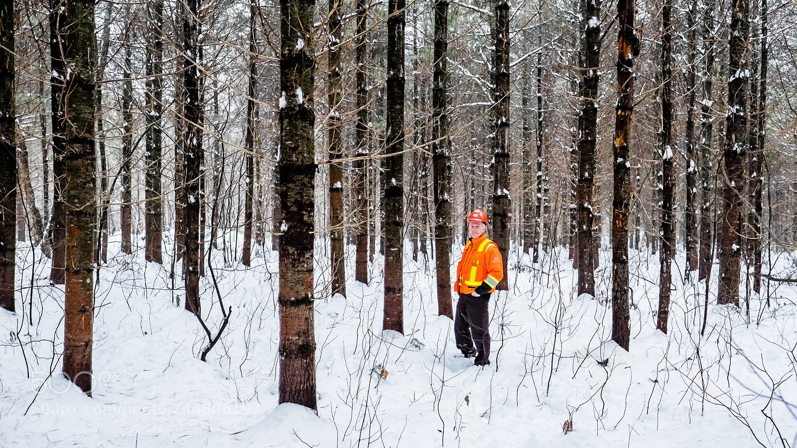 Fujifilm X-T1 sample photo. Forester and his work photography