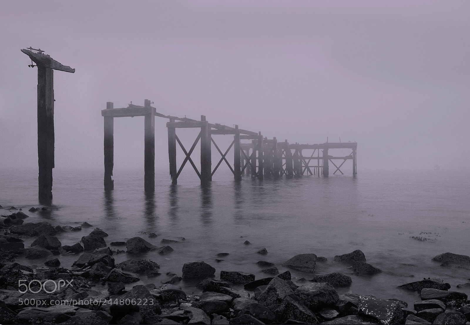 Panasonic Lumix DMC-G1 sample photo. A salty fog photography