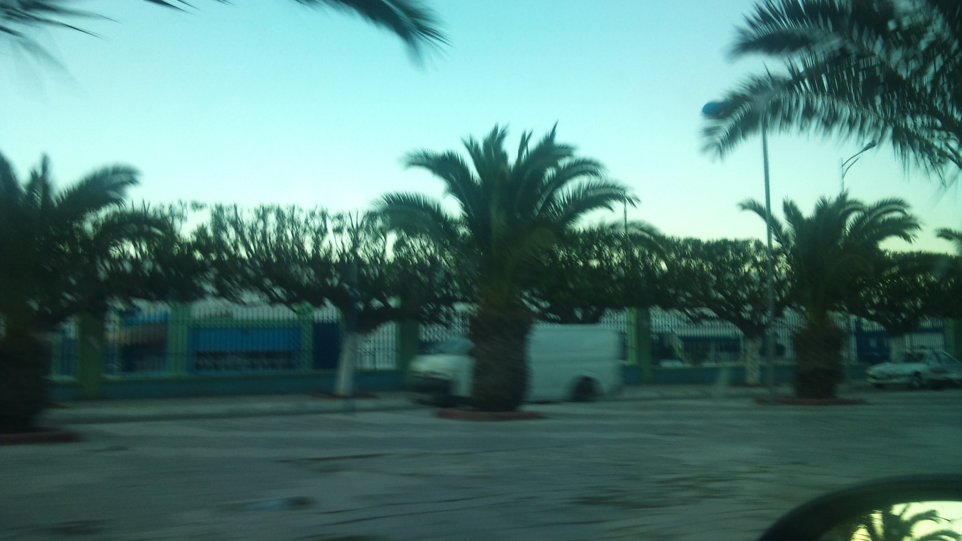 Sony Ericsson U10i sample photo. Dsc photography