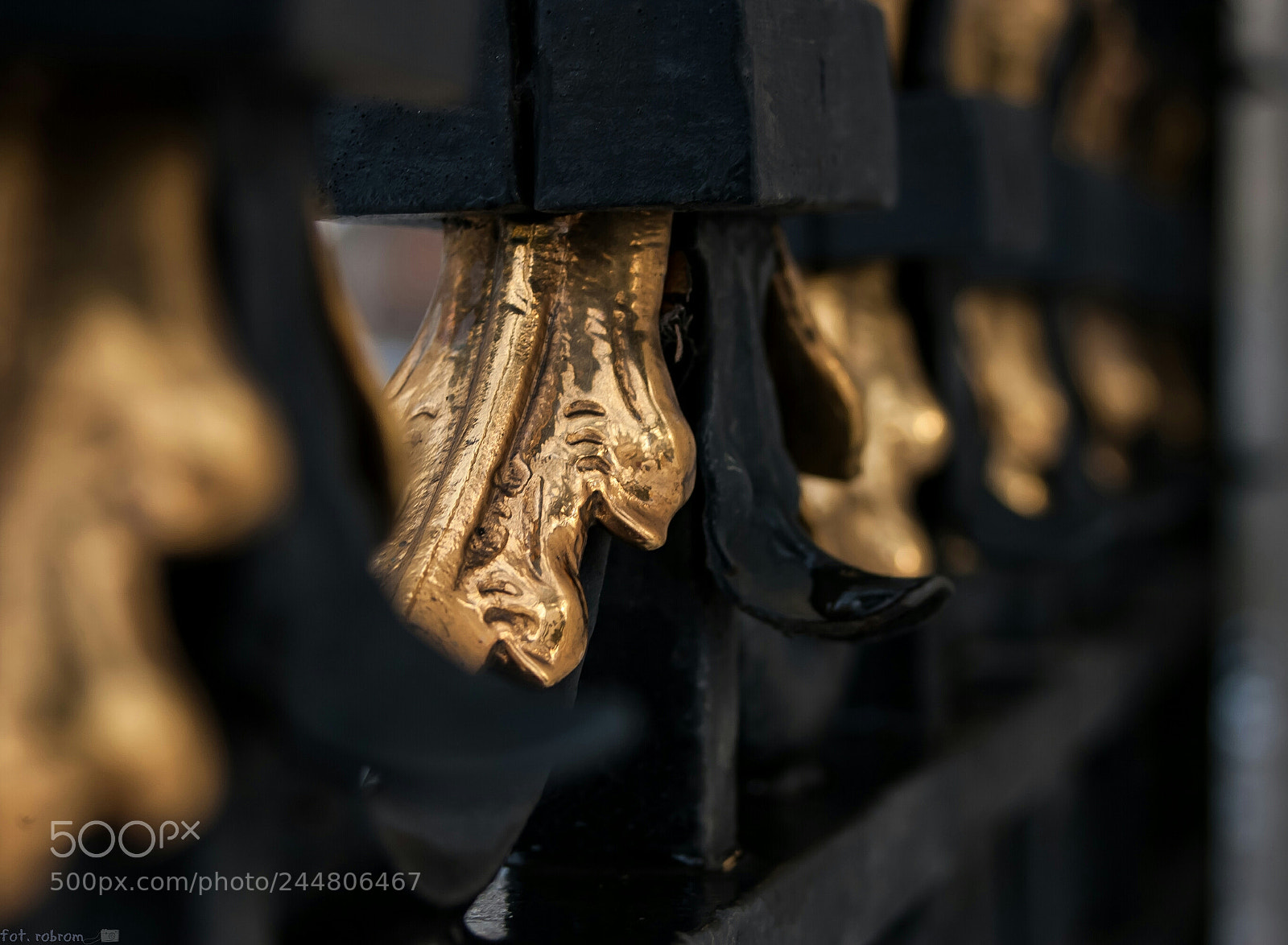 Nikon D50 sample photo. Golden leaf photography