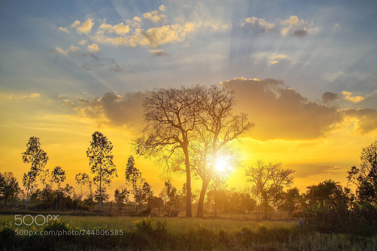Nikon D3100 sample photo. Rural sunset #3 photography