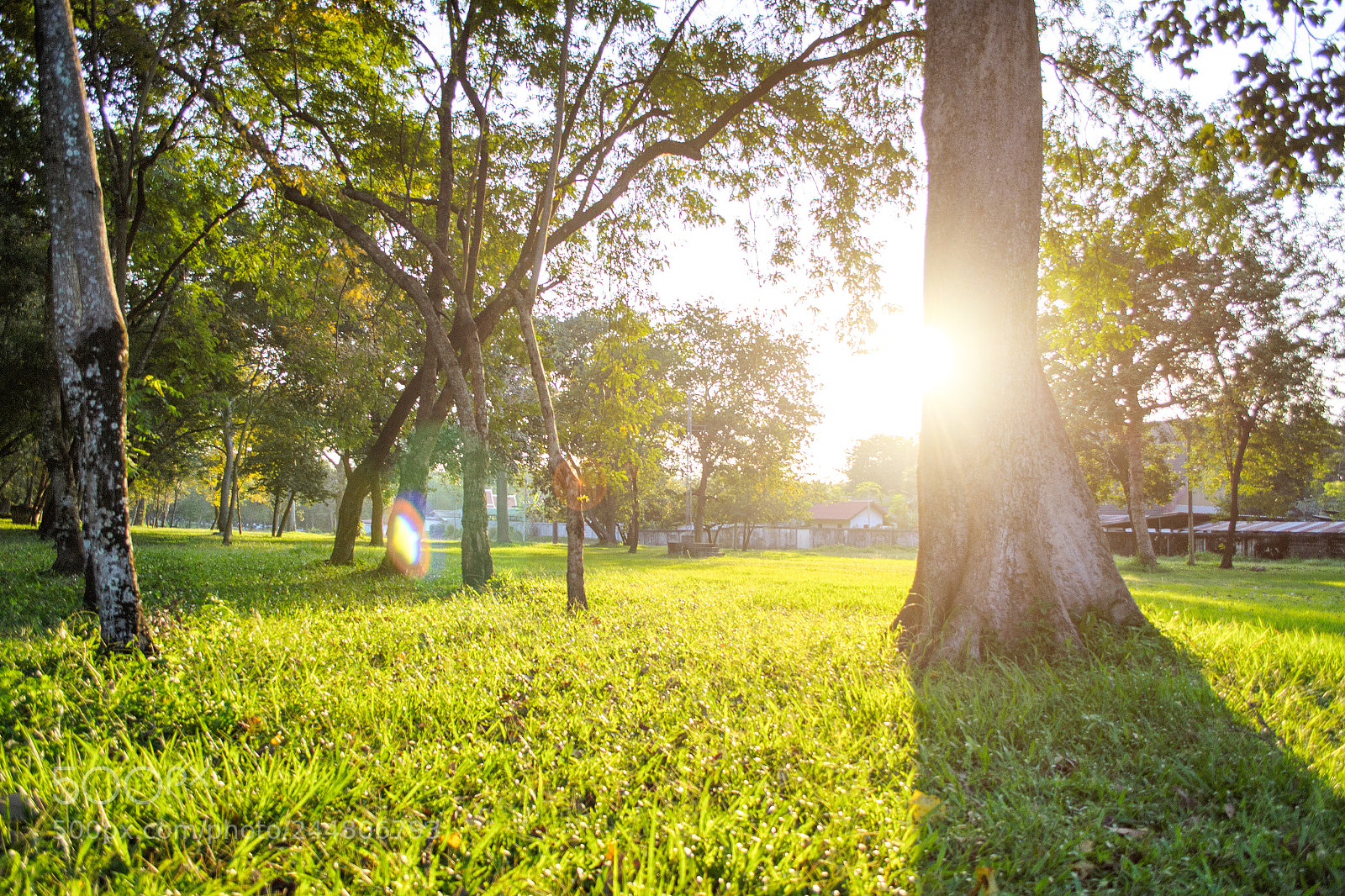 Nikon D3100 sample photo. Rural sunset #4 photography