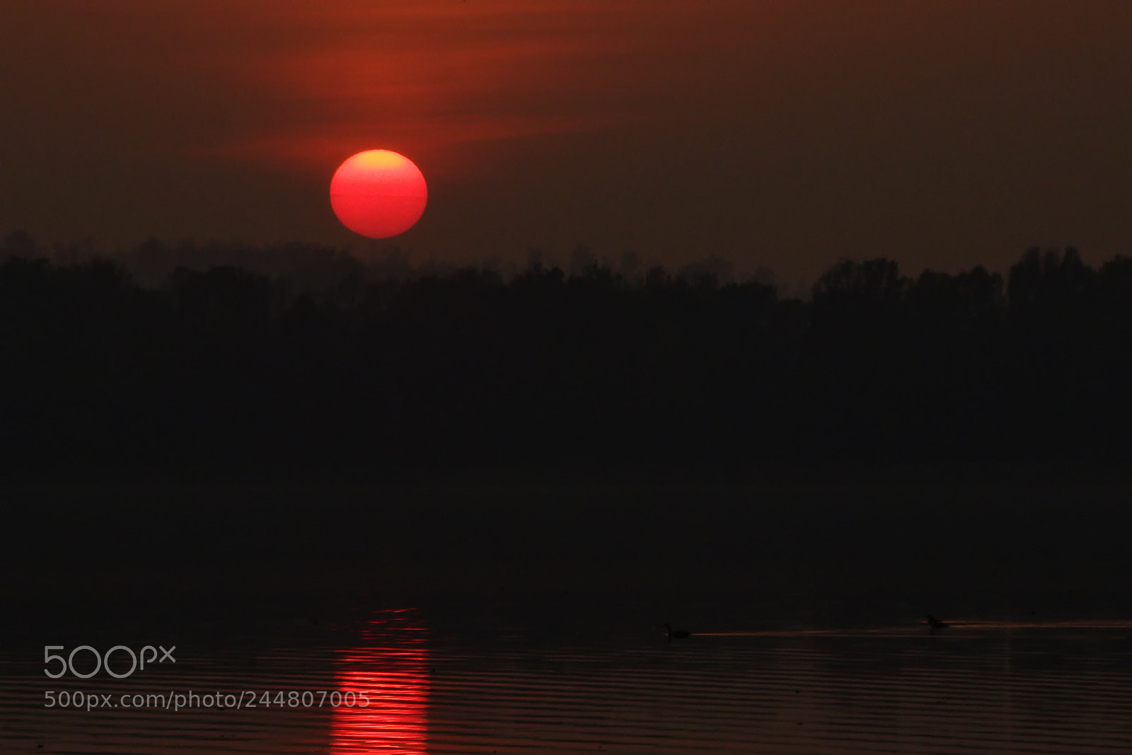 Sony Cyber-shot DSC-H50 sample photo. Sunset on the lake photography