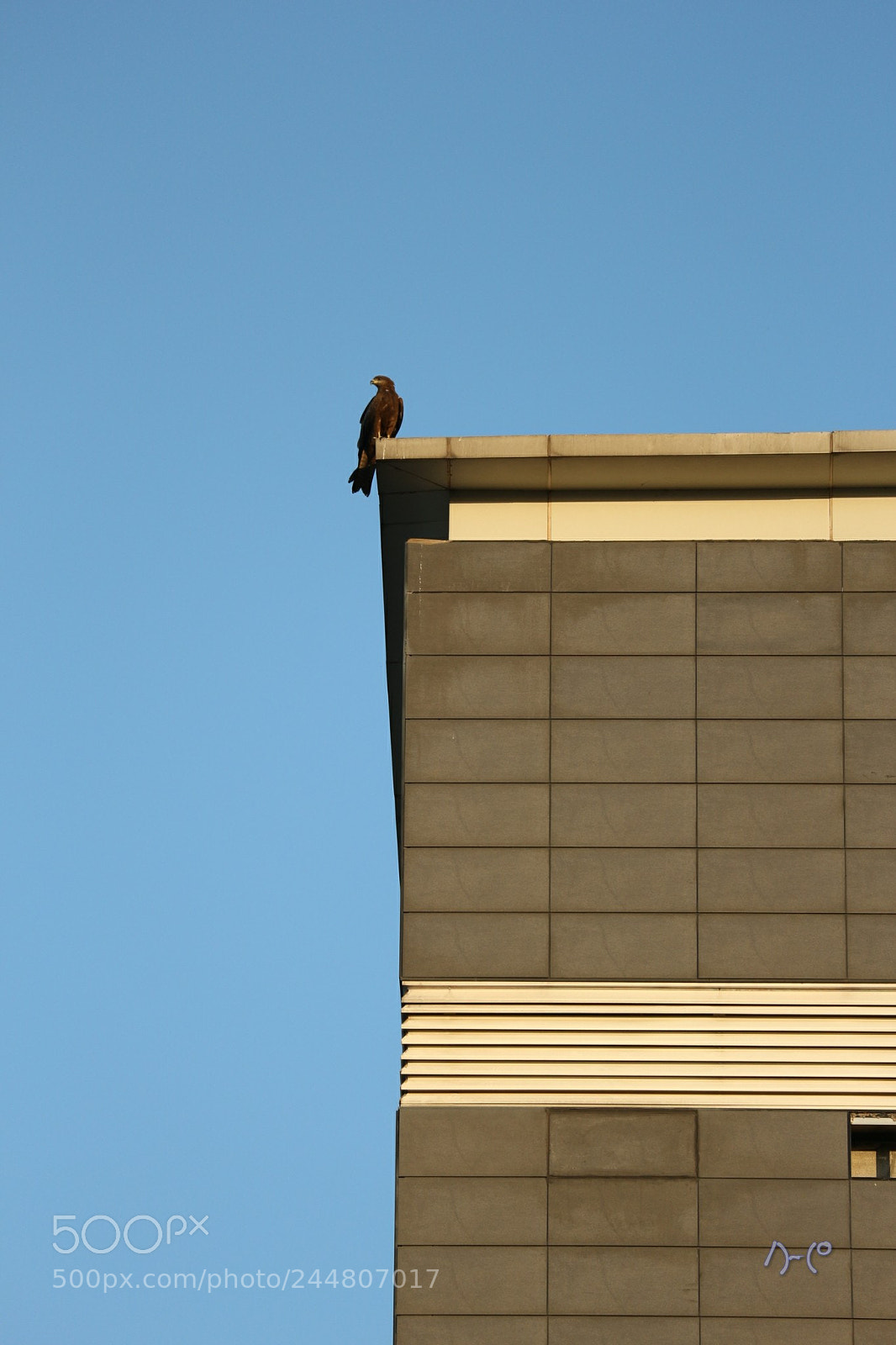 Canon EOS M10 sample photo. Kite on the block photography