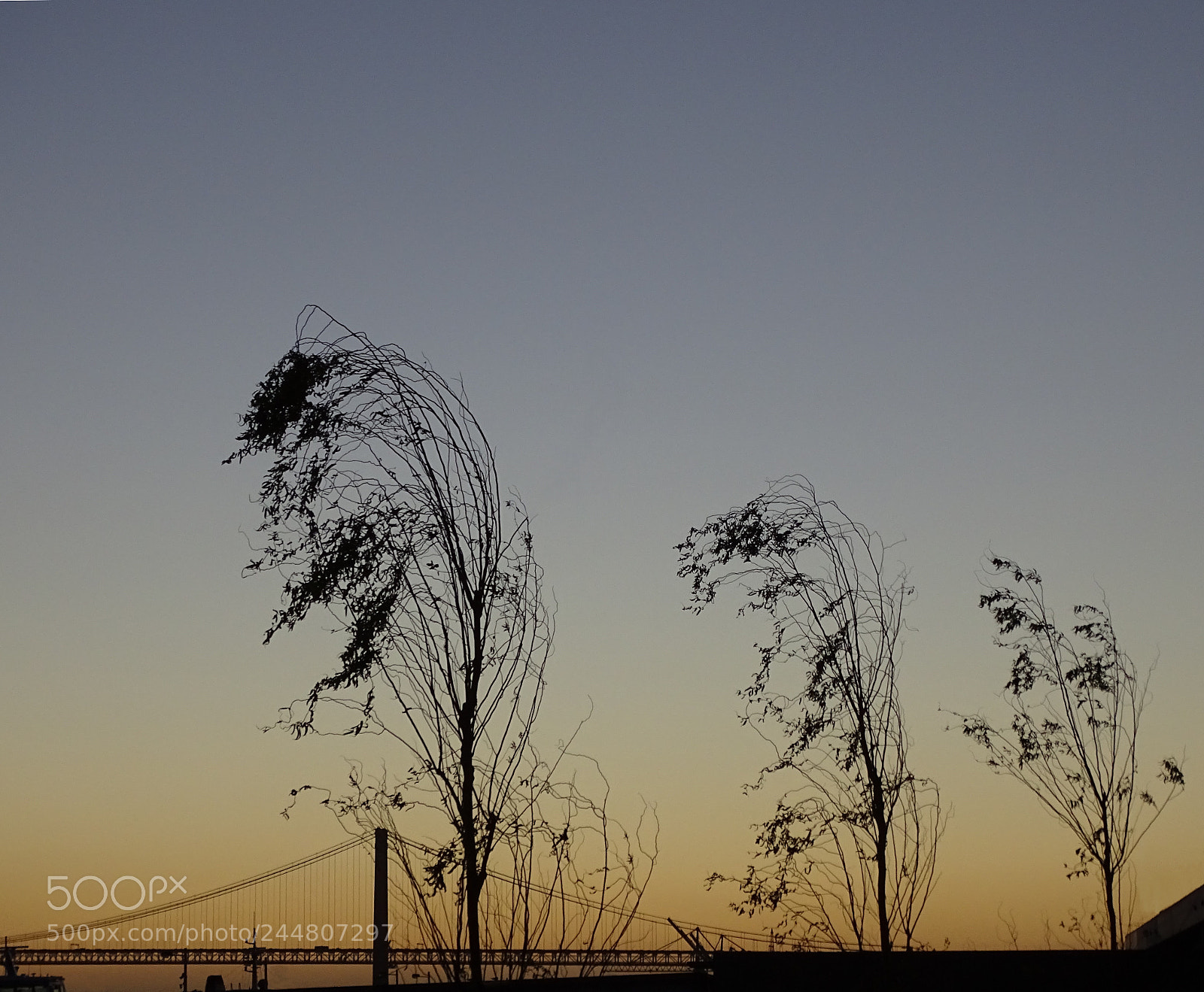 Sony Cyber-shot DSC-HX400V sample photo. Untitled photography