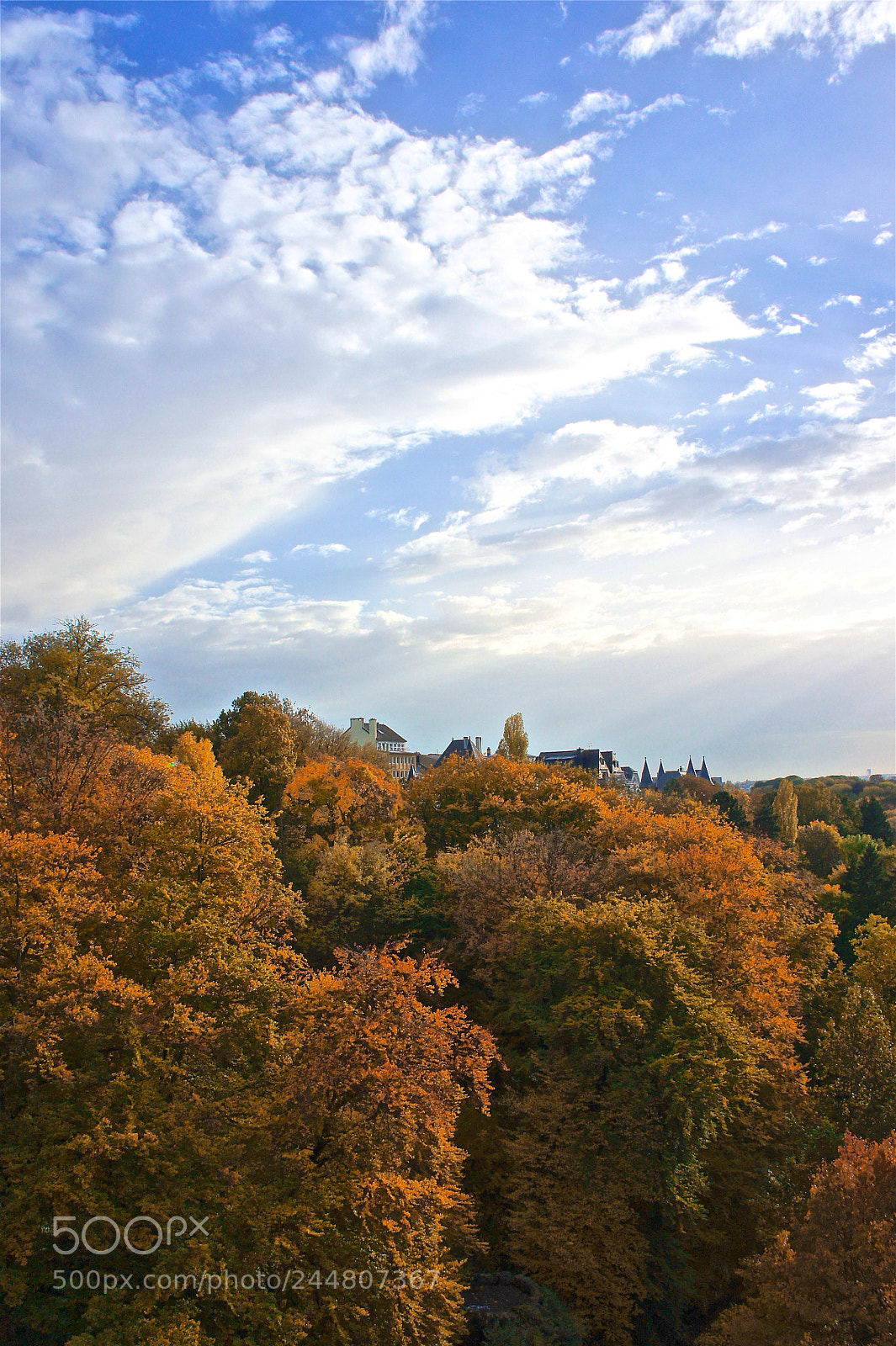 Sony Alpha NEX-5 sample photo. Luxembourg autumn photography