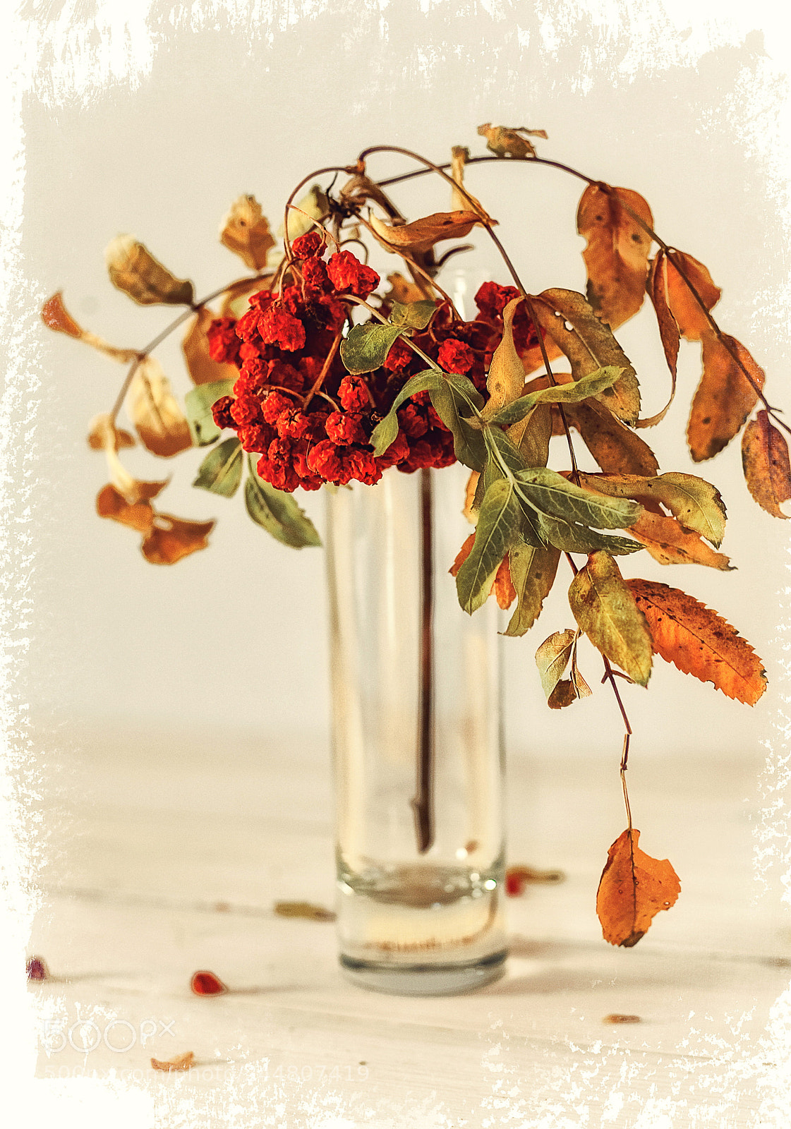 Nikon D610 sample photo. Autumn bouquet photography