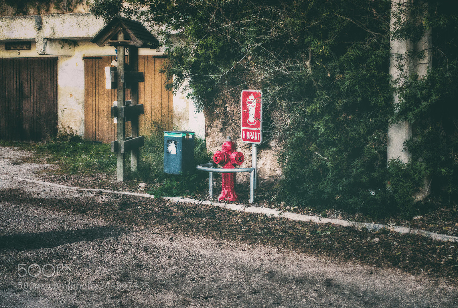 Sony Cyber-shot DSC-RX100 III sample photo. Path oddities photography