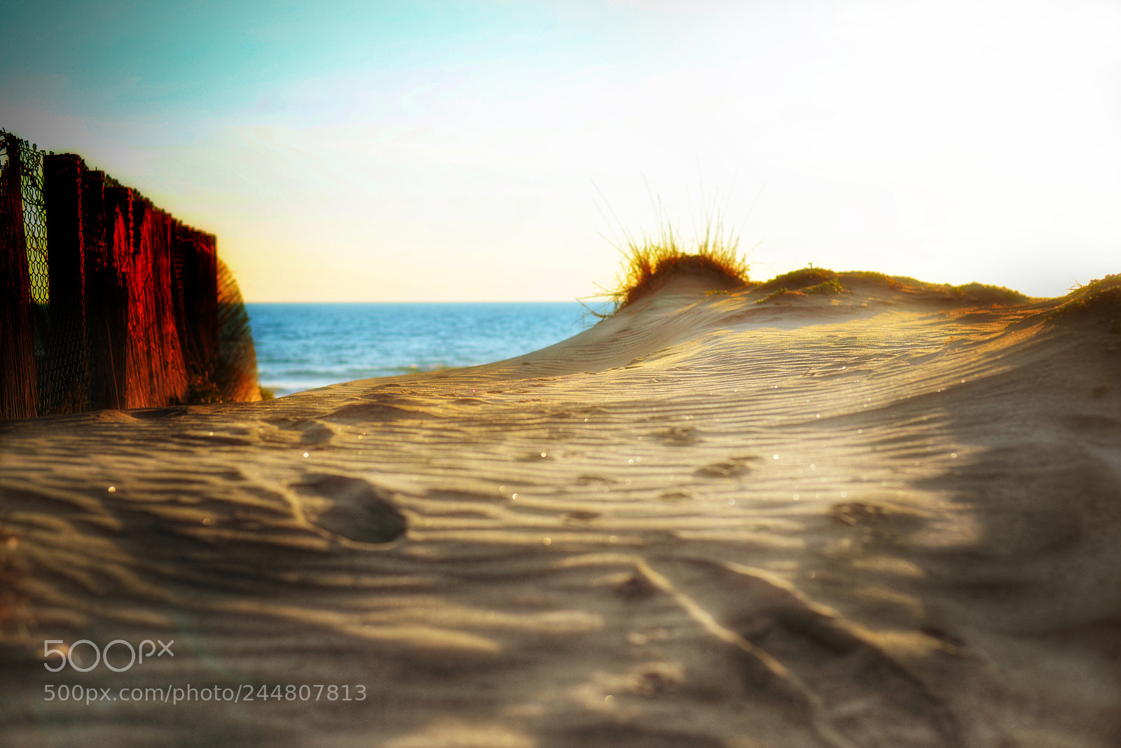 Nikon D610 sample photo. Spiagge... photography