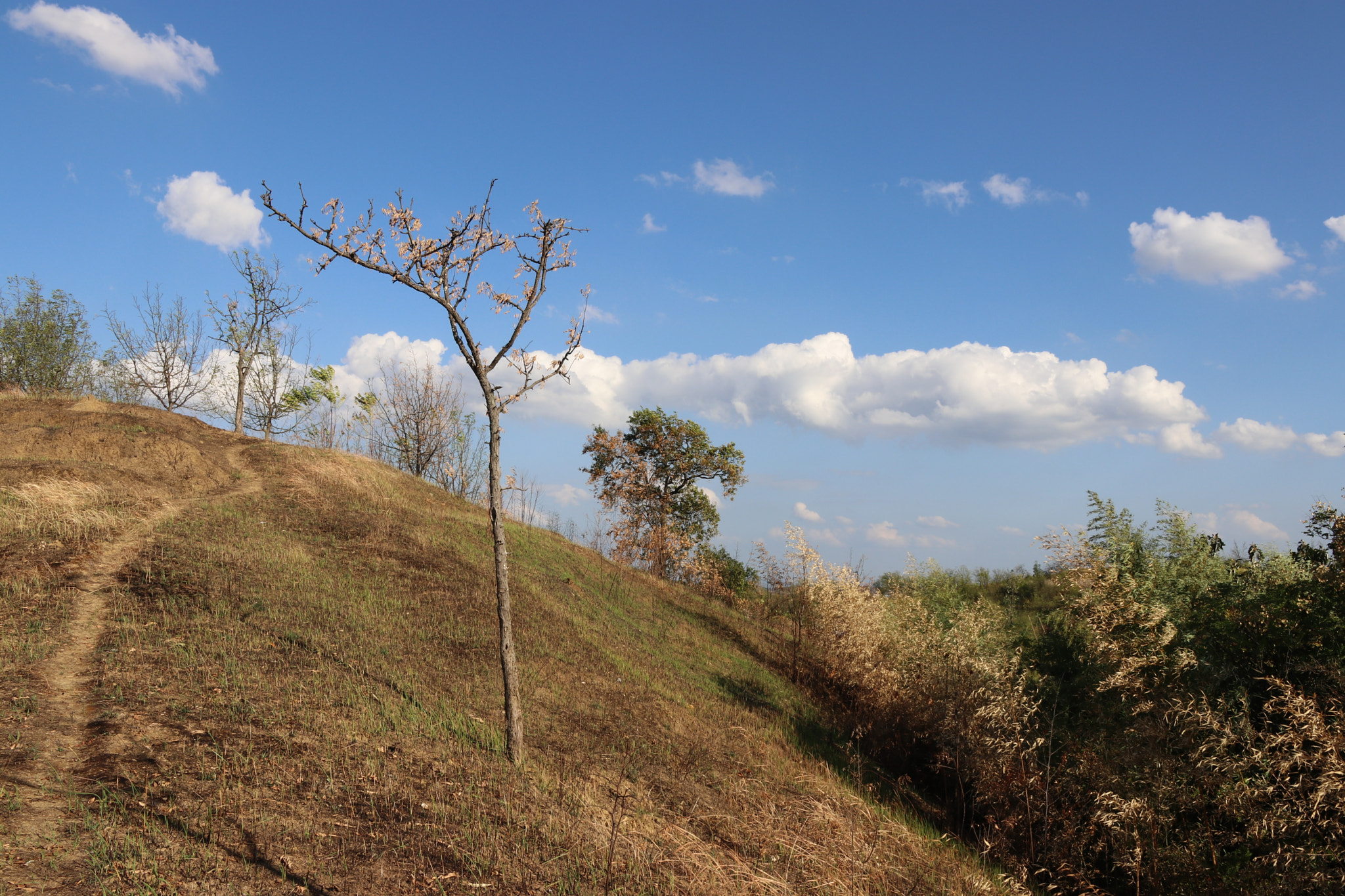 Canon EF-S 17-55mm F2.8 IS USM sample photo