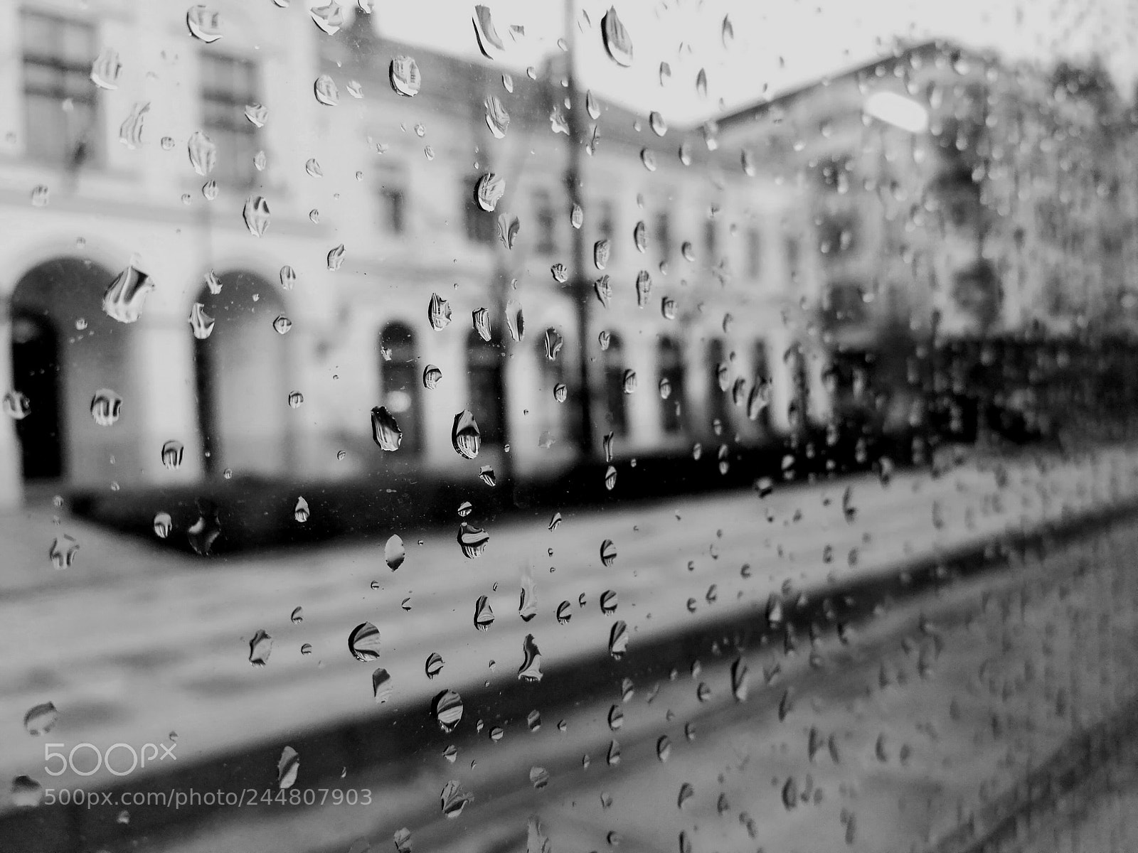 HUAWEI P9 sample photo. Raindrops photography