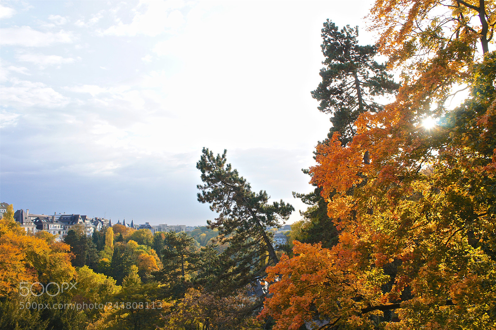 Sony Alpha NEX-5 sample photo. Autumn @ luxembourg photography
