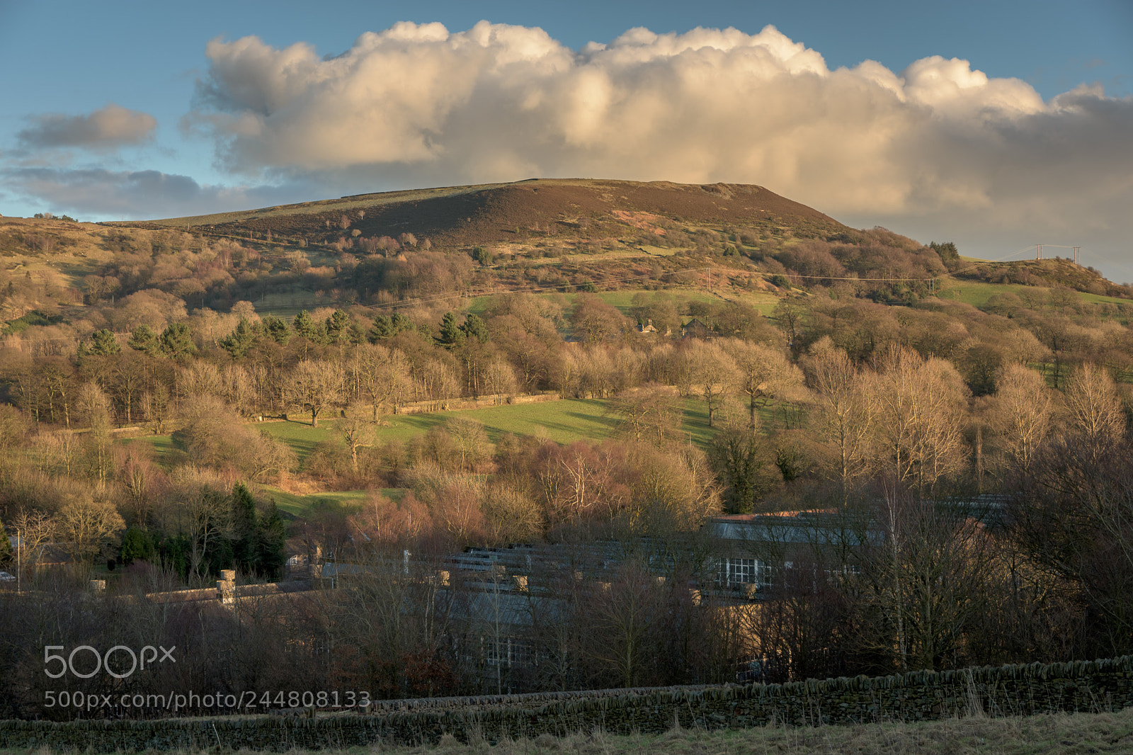 Nikon D7200 sample photo. Evening sunlight, winter, jackson photography