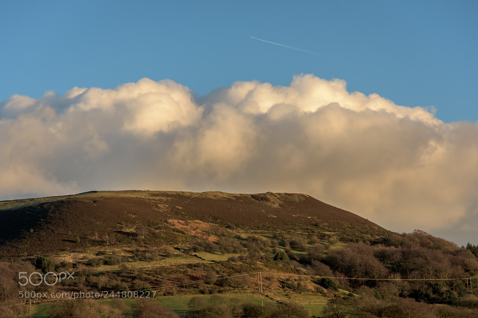 Nikon D7200 sample photo. Evening sunlight, winter, jackson photography