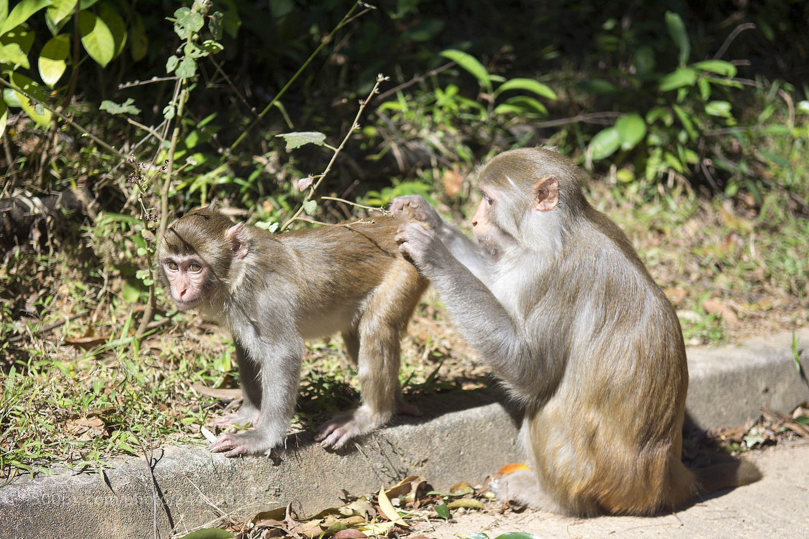 Nikon D7100 sample photo. Tidy up photography