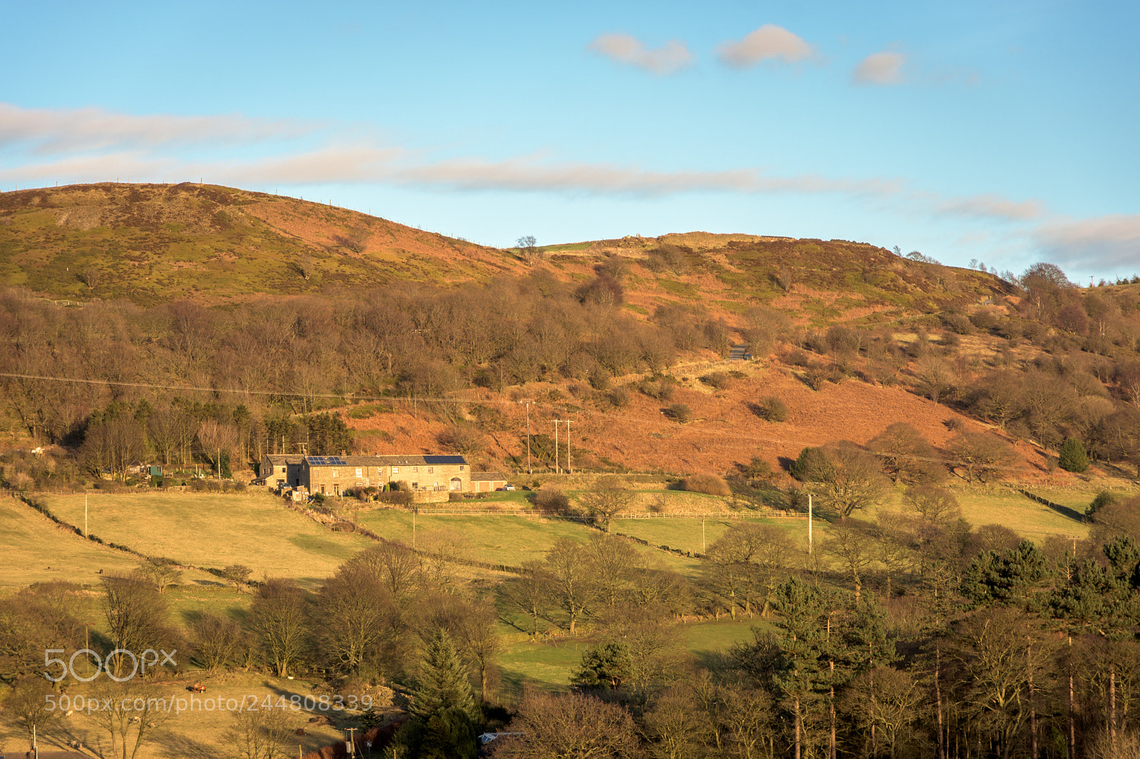 Nikon D7200 sample photo. Evening sunlight, winter, jackson photography