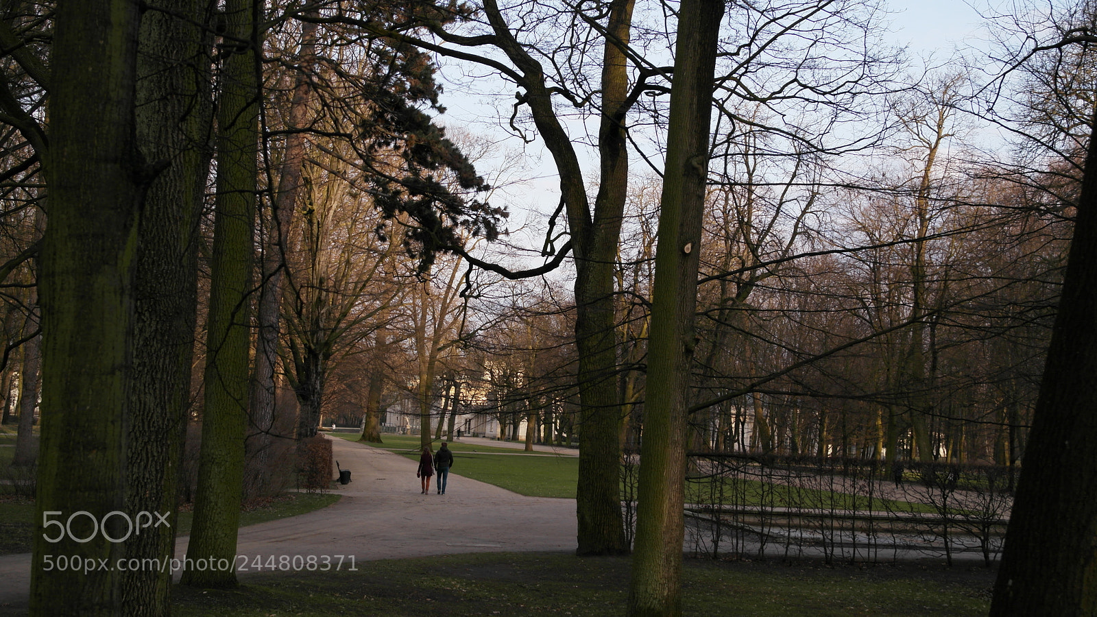 Samsung NX1000 sample photo. Shopin park, portland photography