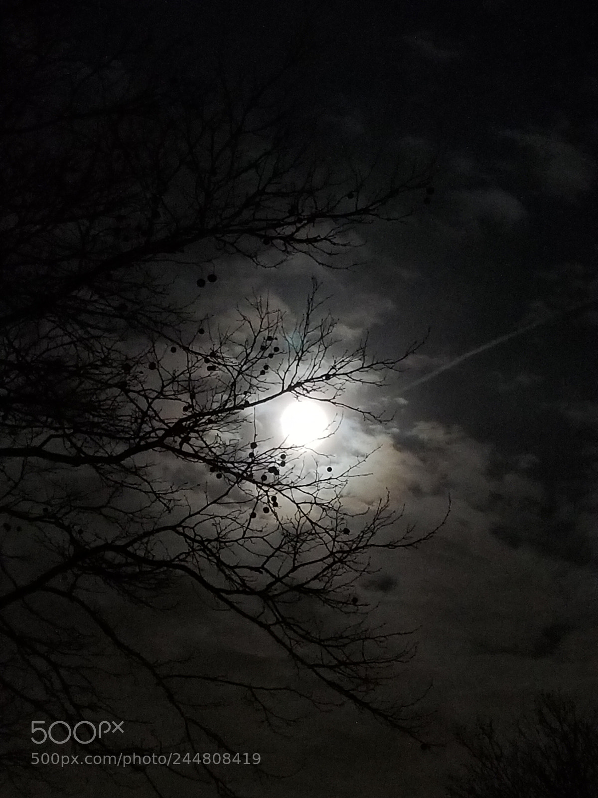 Samsung Galaxy S8+ sample photo. Untitled photography