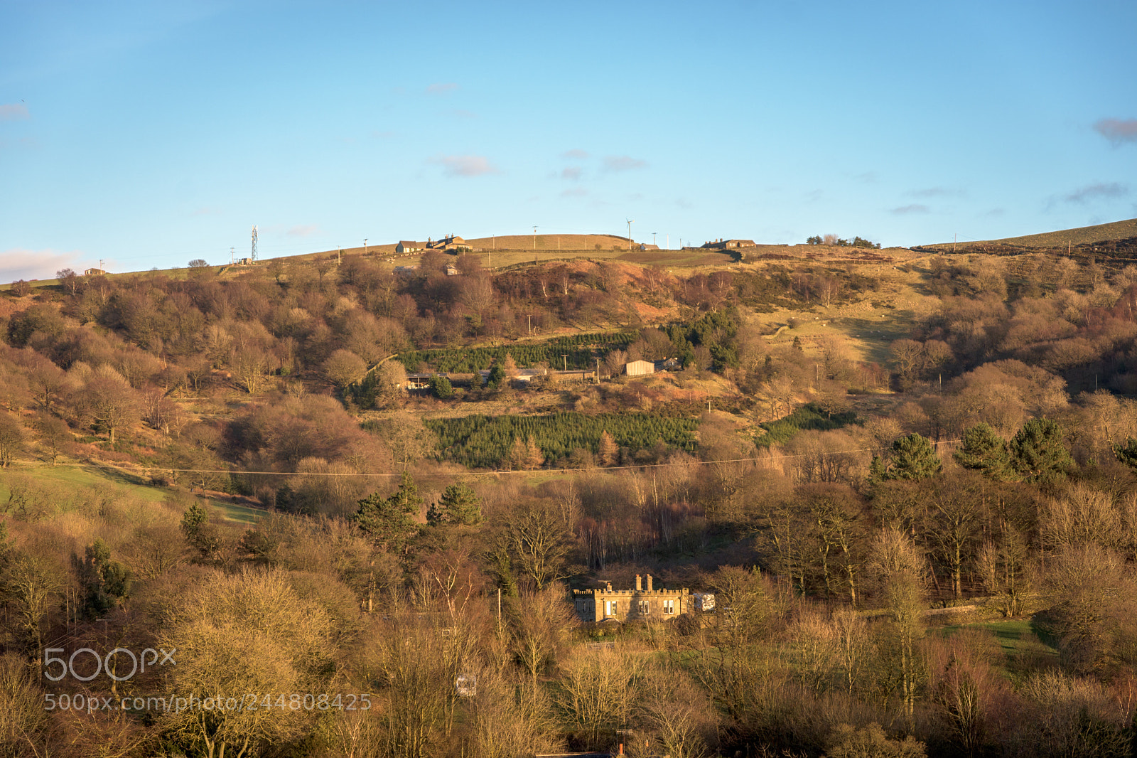 Nikon D7200 sample photo. Evening sunlight, winter, jackson photography