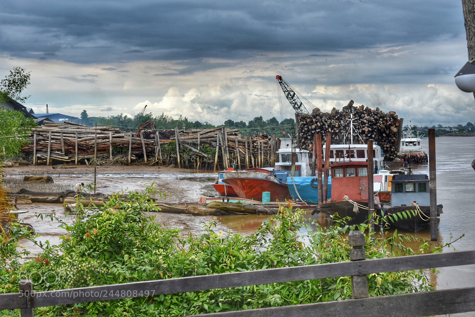 Nikon D3400 sample photo. Log barge getting unloaded photography