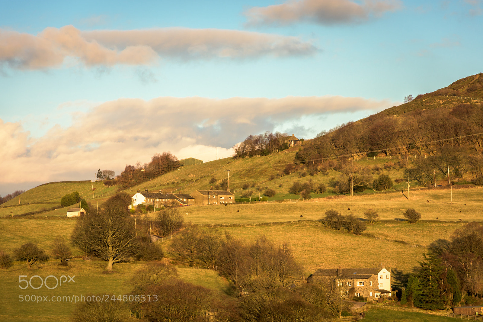 Nikon D7200 sample photo. Evening sunlight, winter, jackson photography