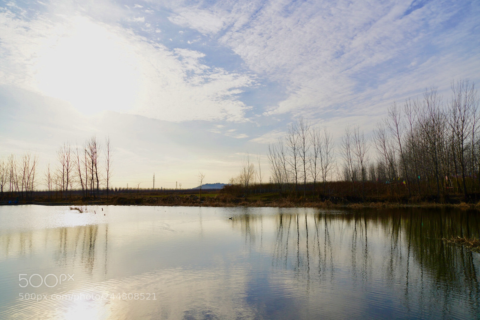 Sony a7R III sample photo. 湿地 photography