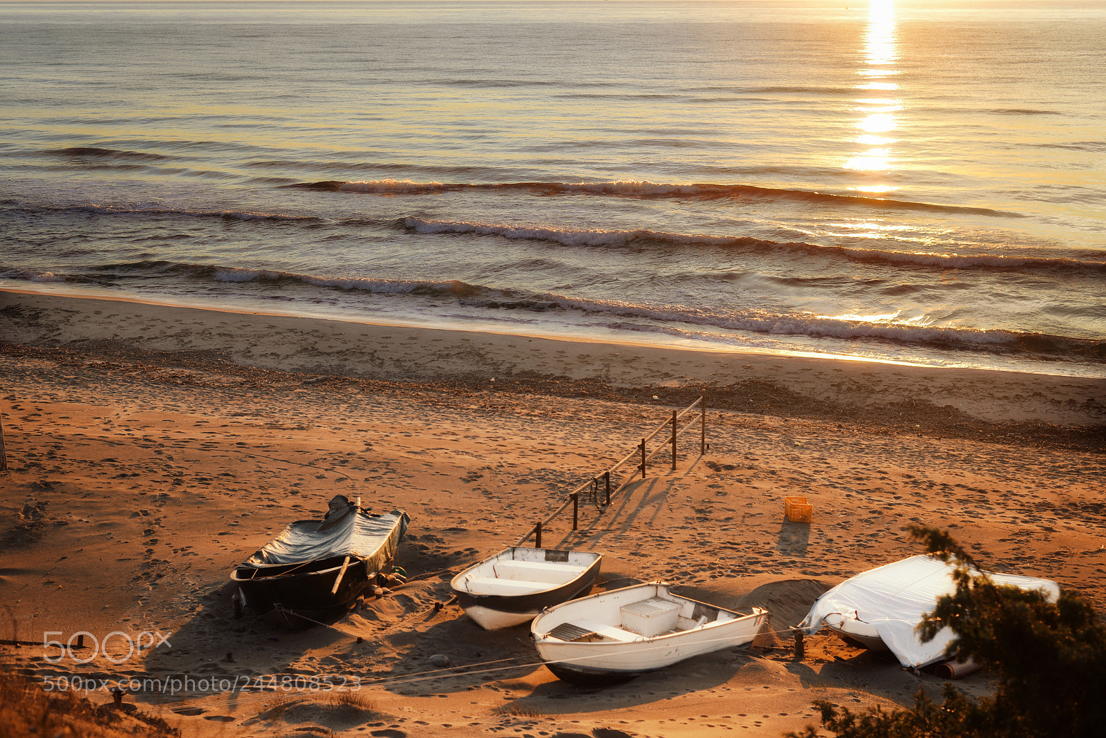Nikon D610 sample photo. Fishing boat


? photography
