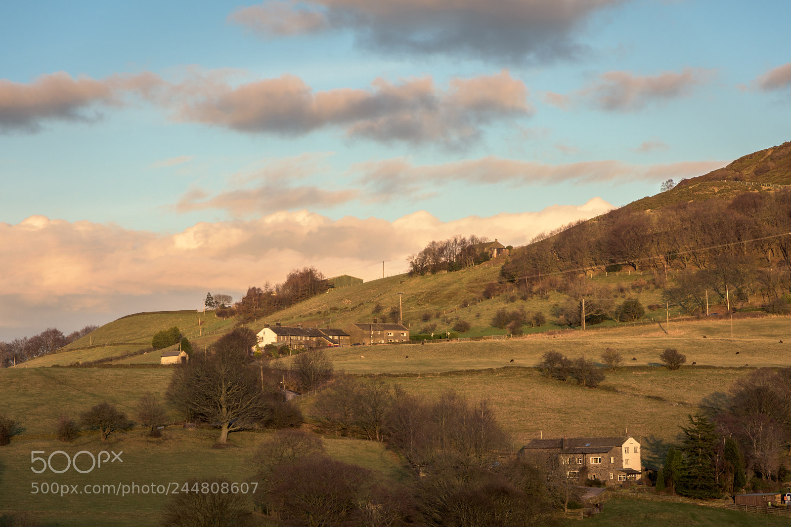 Nikon D7200 sample photo. Evening sunlight, winter, jackson photography