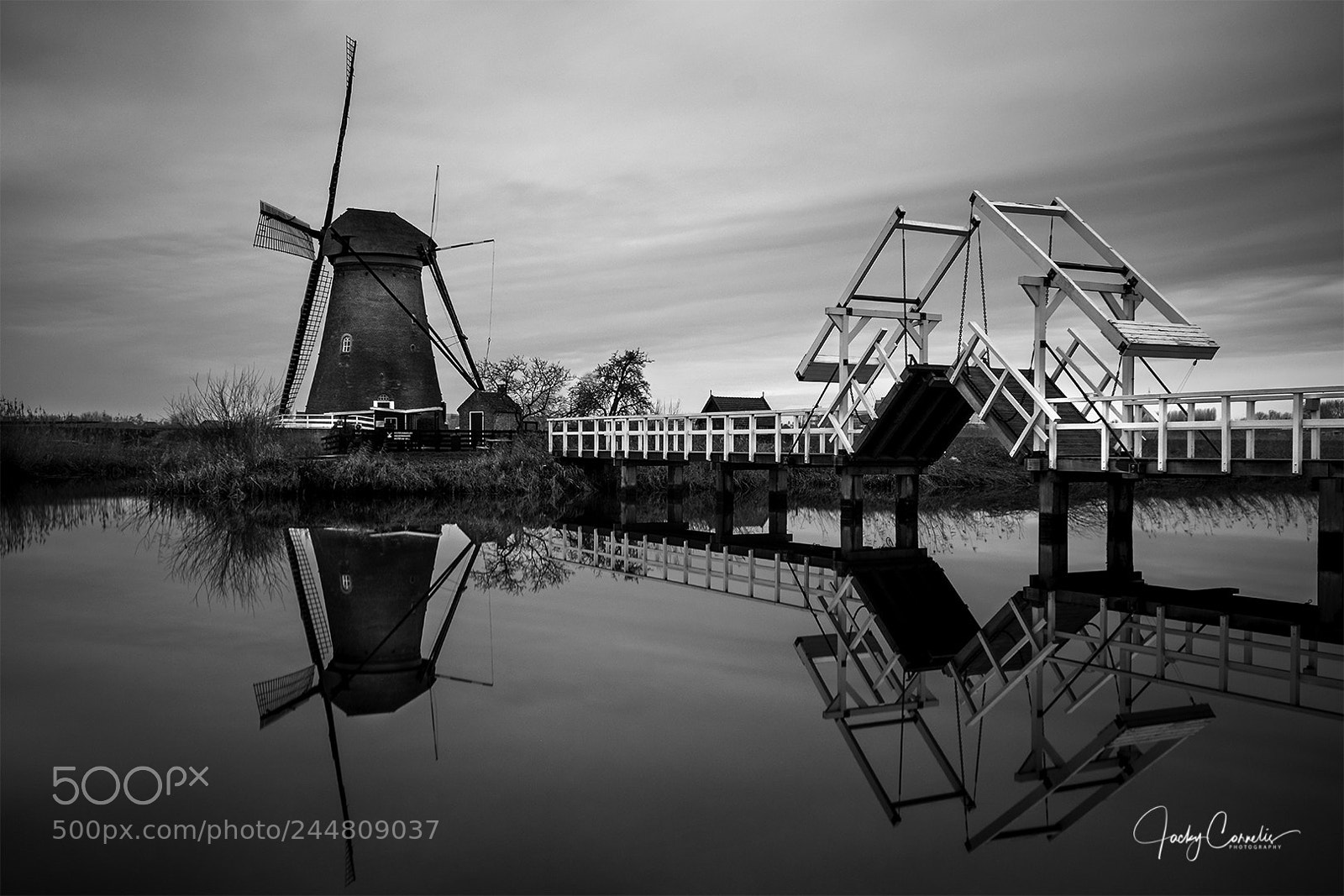 Fujifilm X-T2 sample photo. Beauty of holland photography
