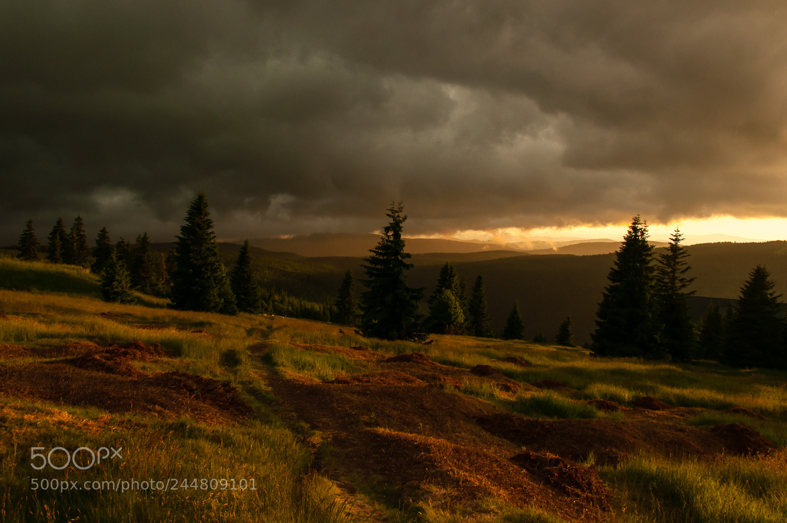 Nikon D90 sample photo. Storm is coming photography