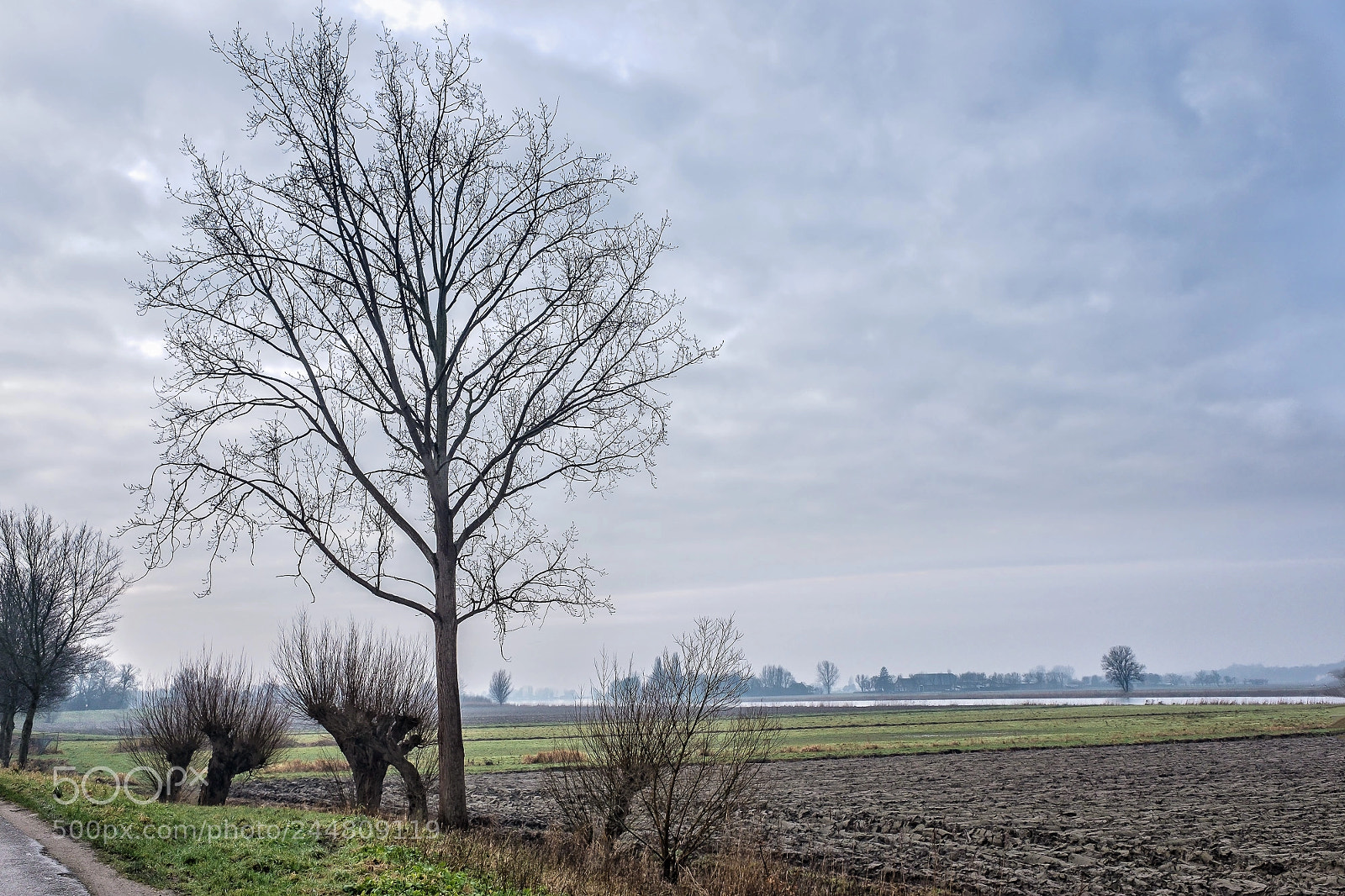 Fujifilm X70 sample photo. Polder photography