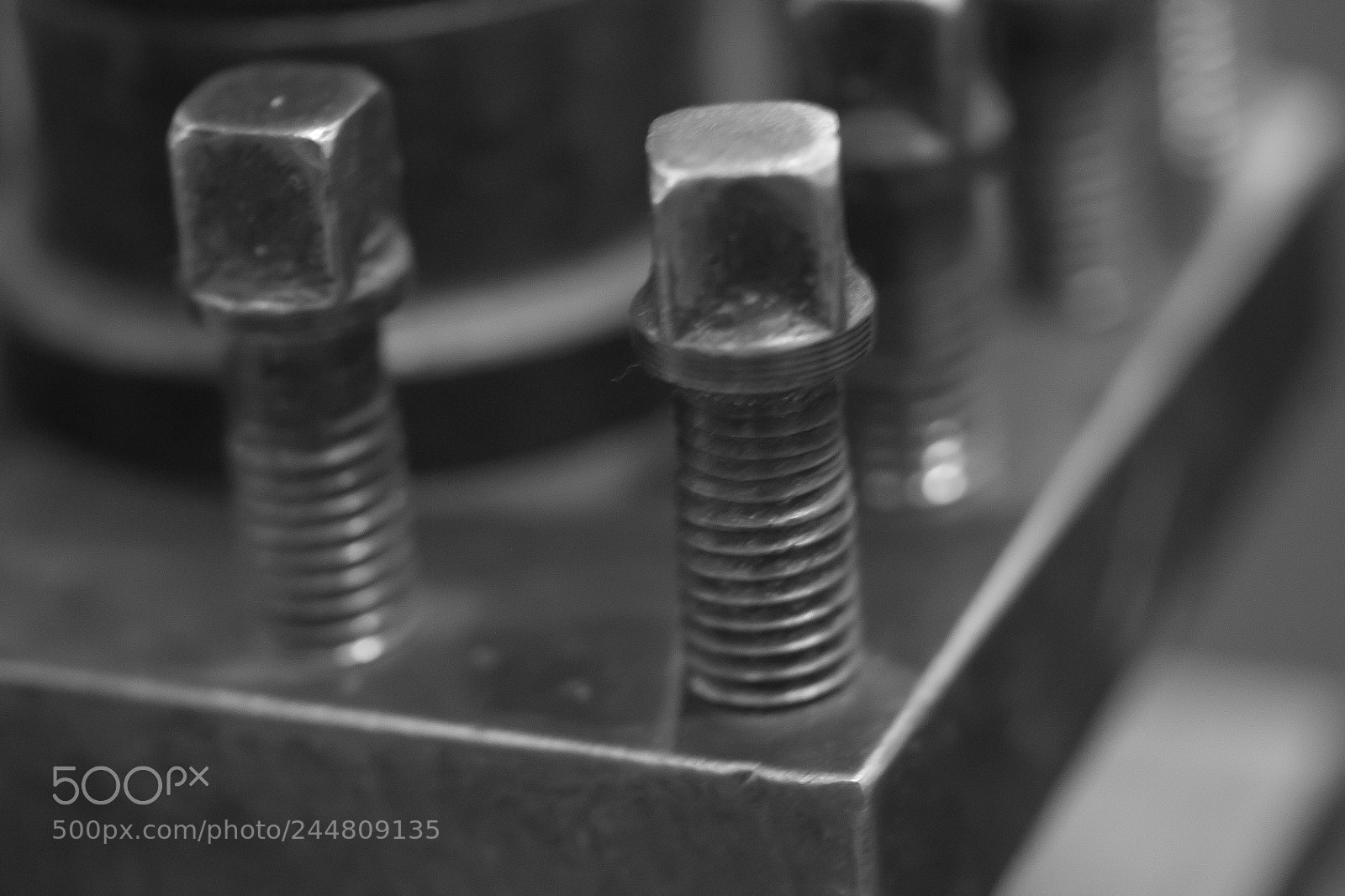 Canon EOS 600D (Rebel EOS T3i / EOS Kiss X5) sample photo. Machine plate photography