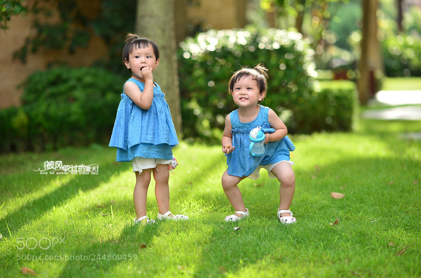Nikon Df sample photo. 双胞胎 photography