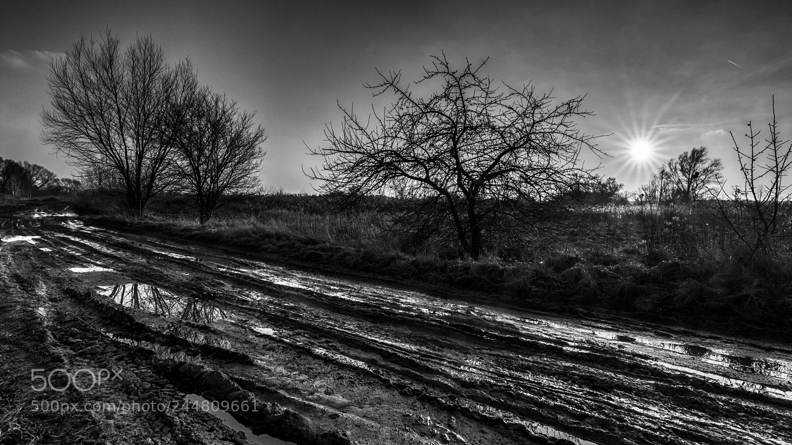 Nikon D7200 sample photo. Muddy road. photography