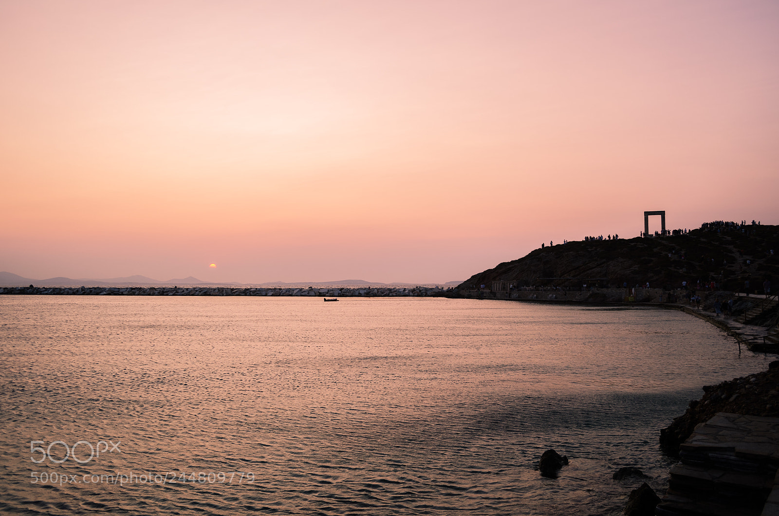 Nikon D5100 sample photo. Pink summer photography