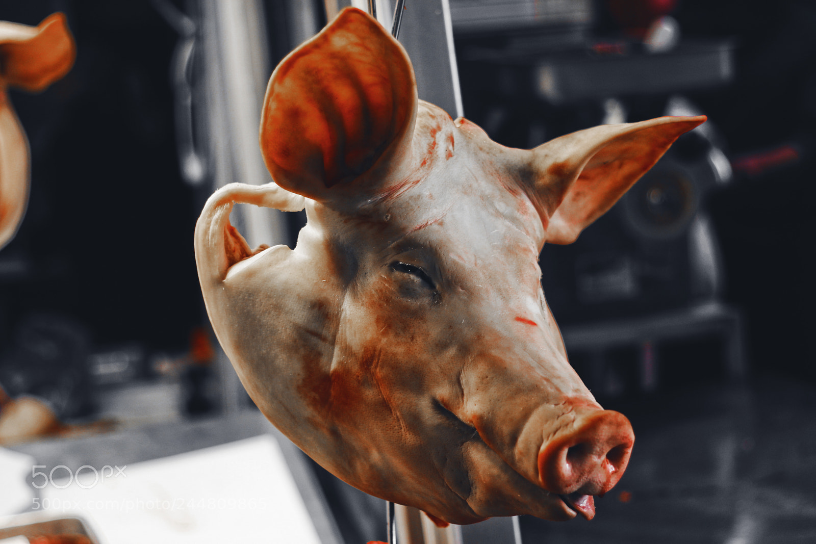 Canon EOS 100D (EOS Rebel SL1 / EOS Kiss X7) sample photo. Pig's fate photography
