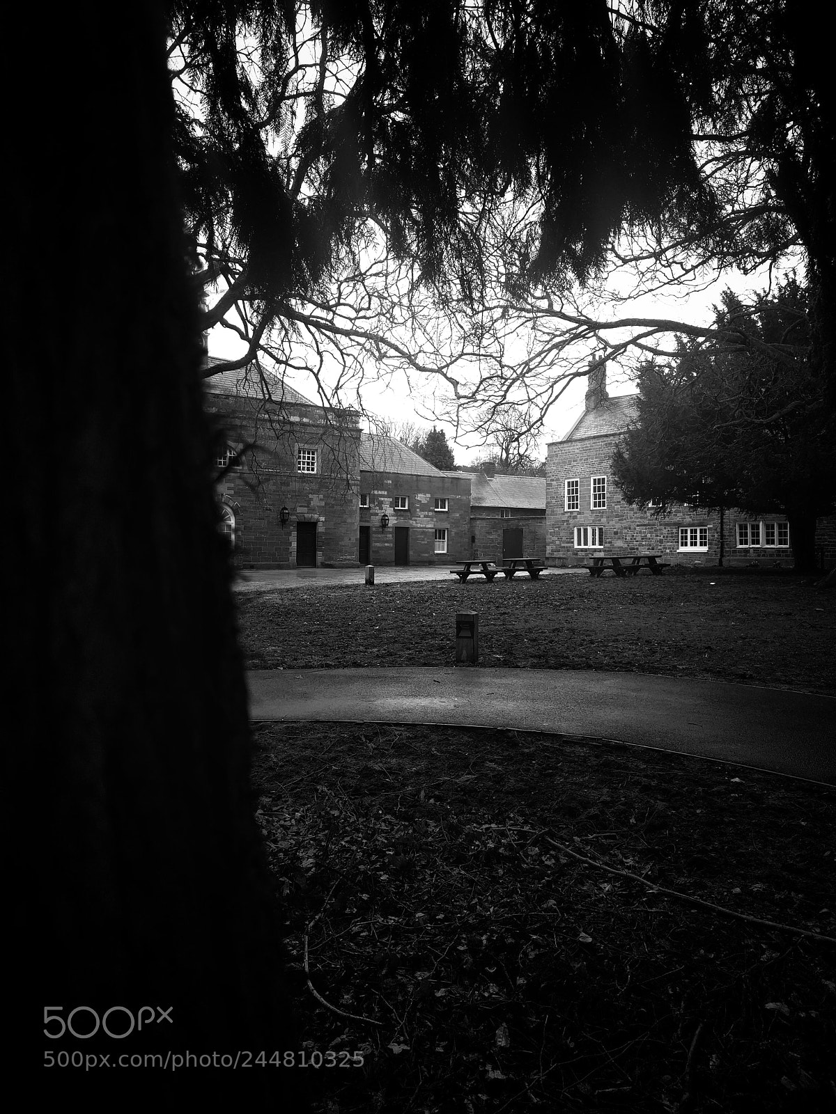 LG Nexus 5X sample photo. The old abbey photography