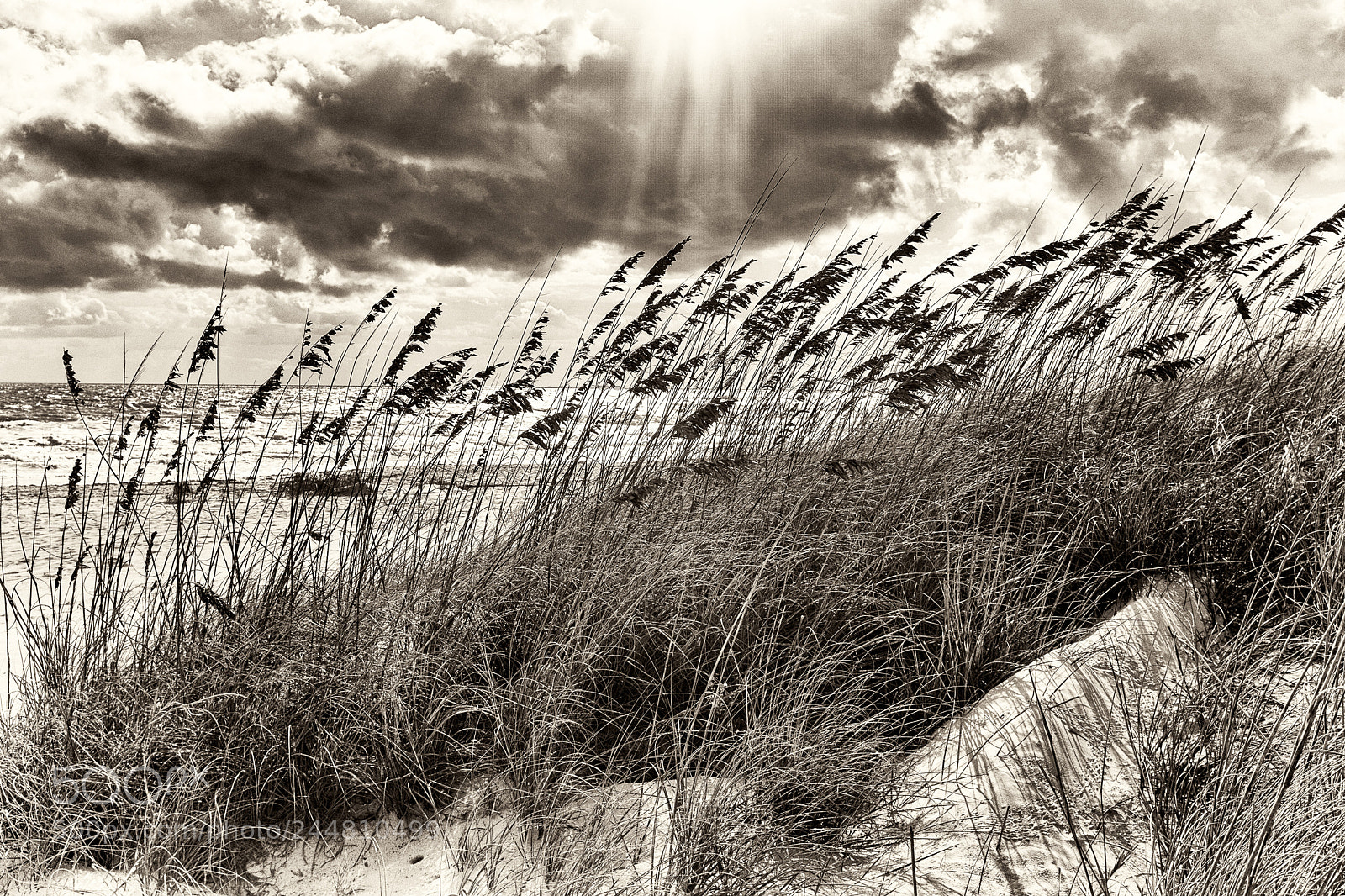 Fujifilm X100S sample photo. In the dunes photography