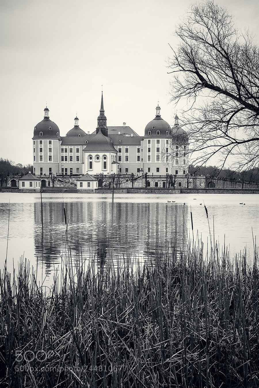 Olympus OM-D E-M10 II sample photo. Castle of moritzburg... photography