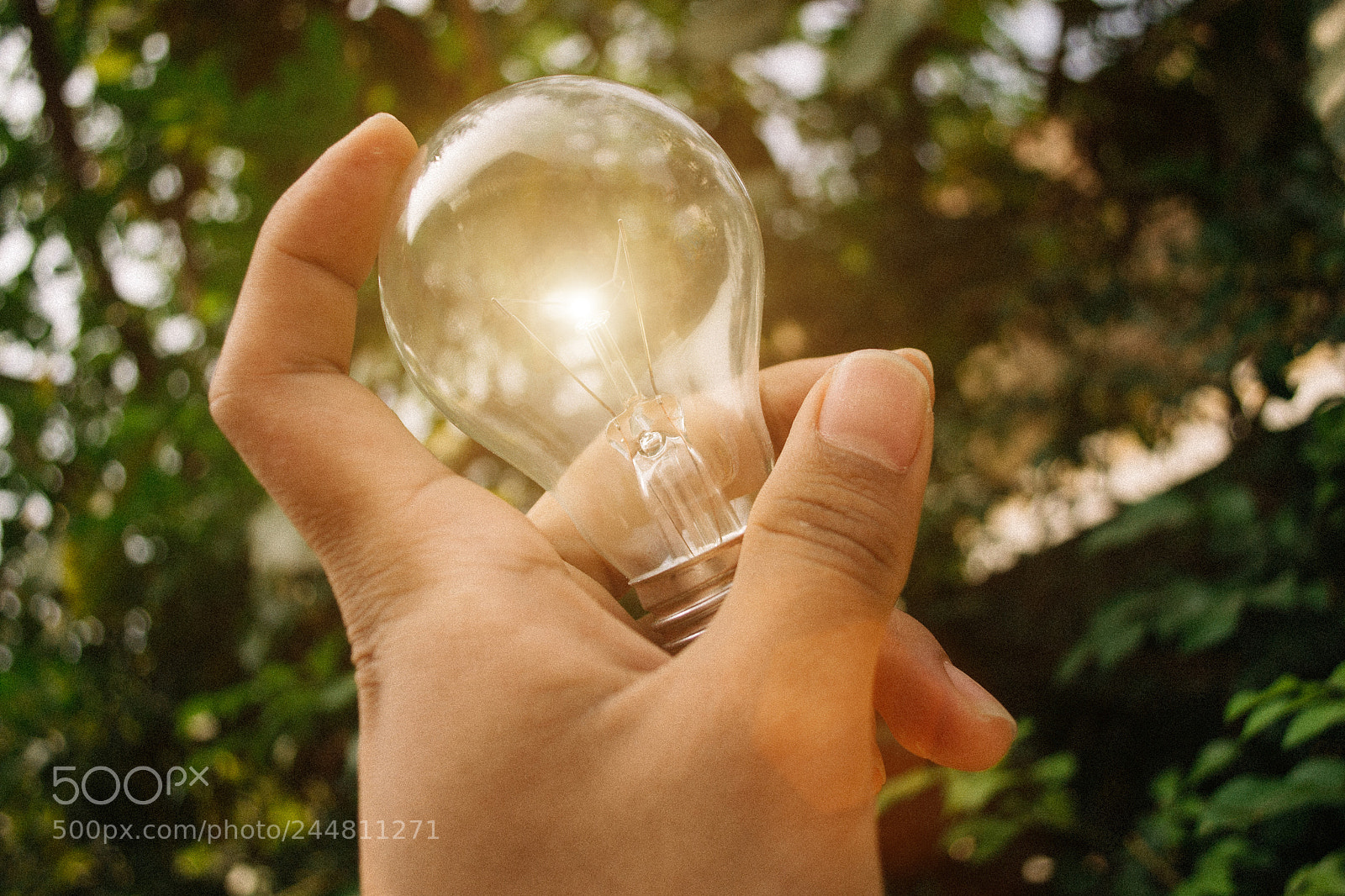 Nikon D3100 sample photo. Creative #4 photography