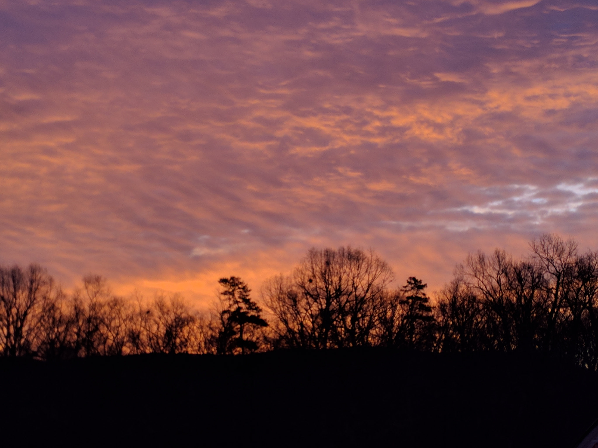 Motorola Nexus 6 sample photo. Early morning sun rise photography