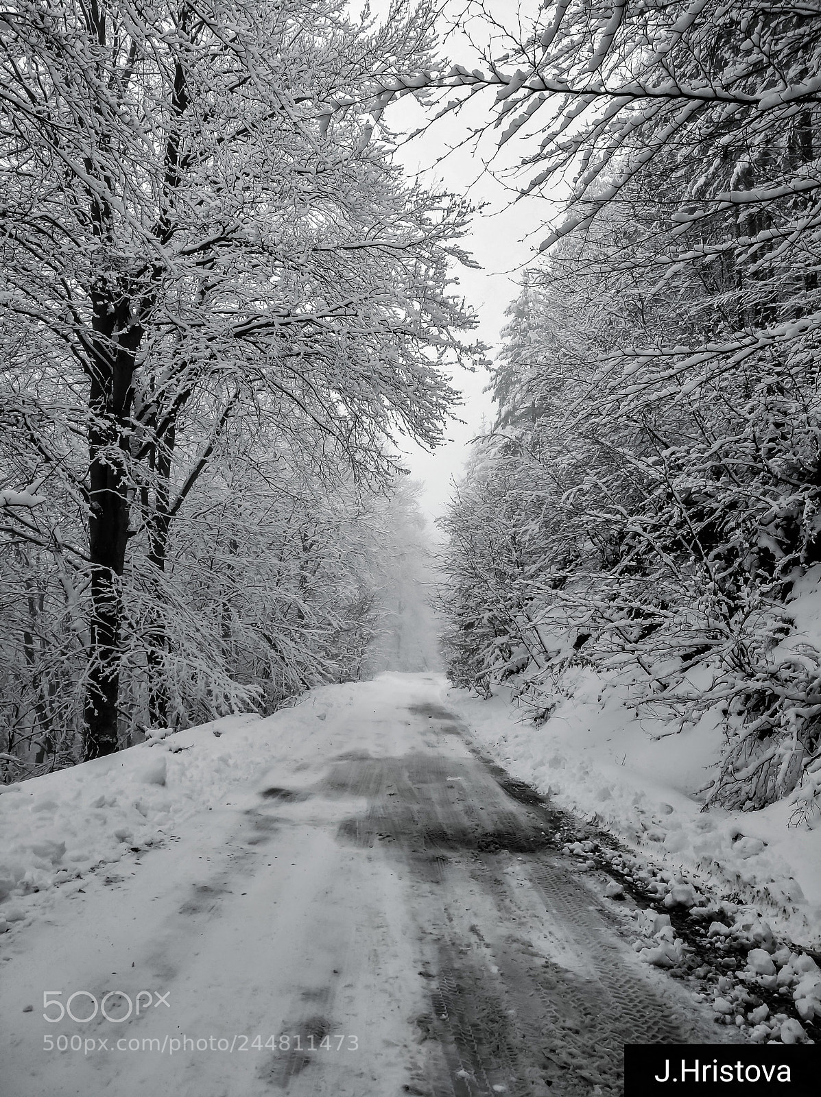 HUAWEI nova sample photo. White road through the photography