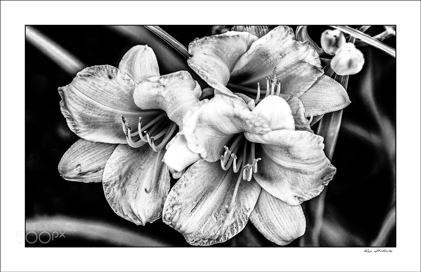 Pentax K-70 sample photo. B&w photography