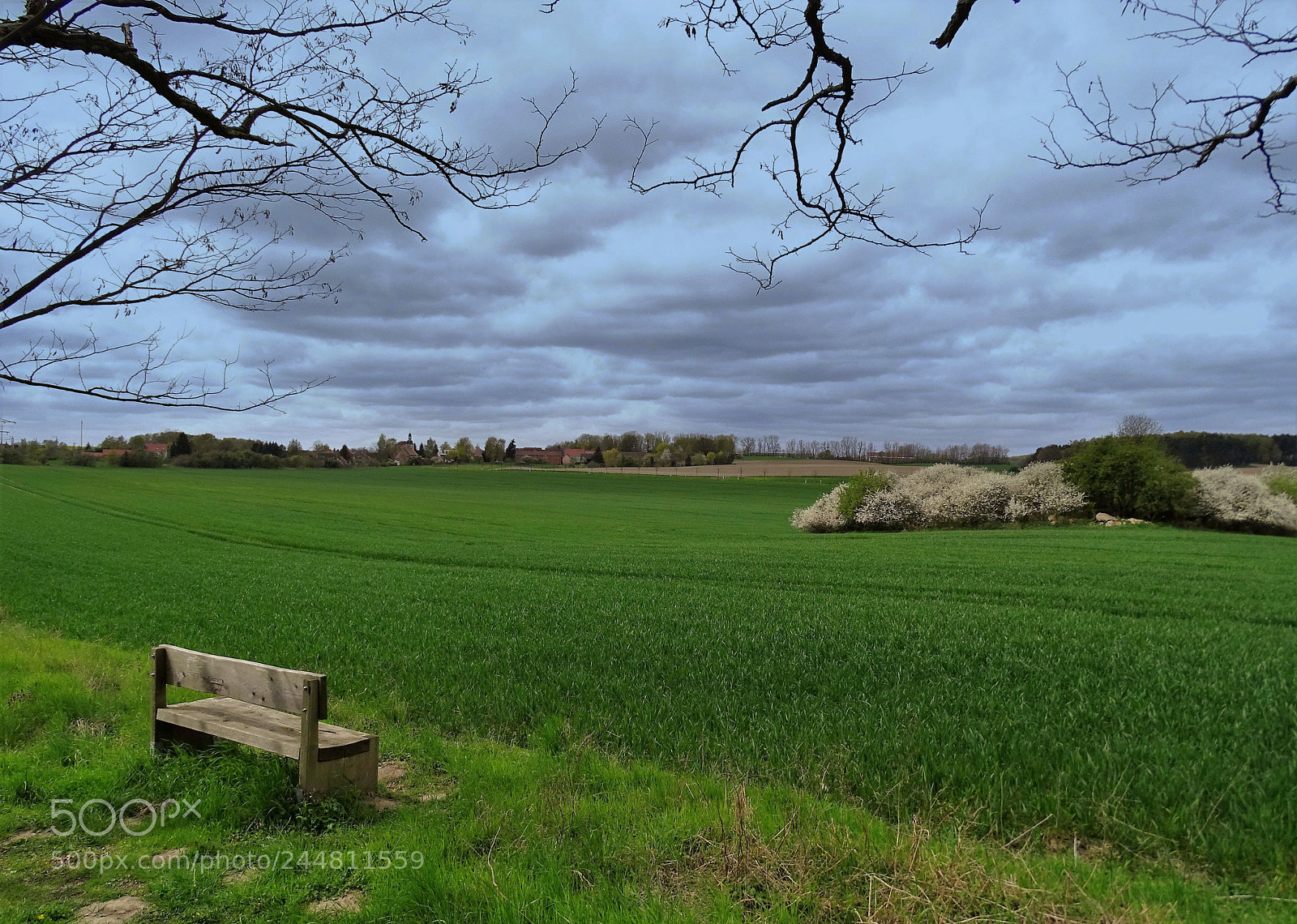 Sony Cyber-shot DSC-HX400V sample photo. Bench in the fields photography