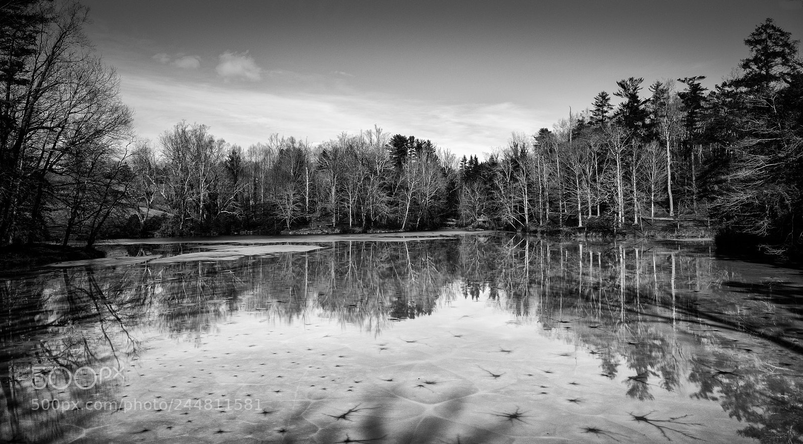 Fujifilm X-Pro2 sample photo. Frozen photography