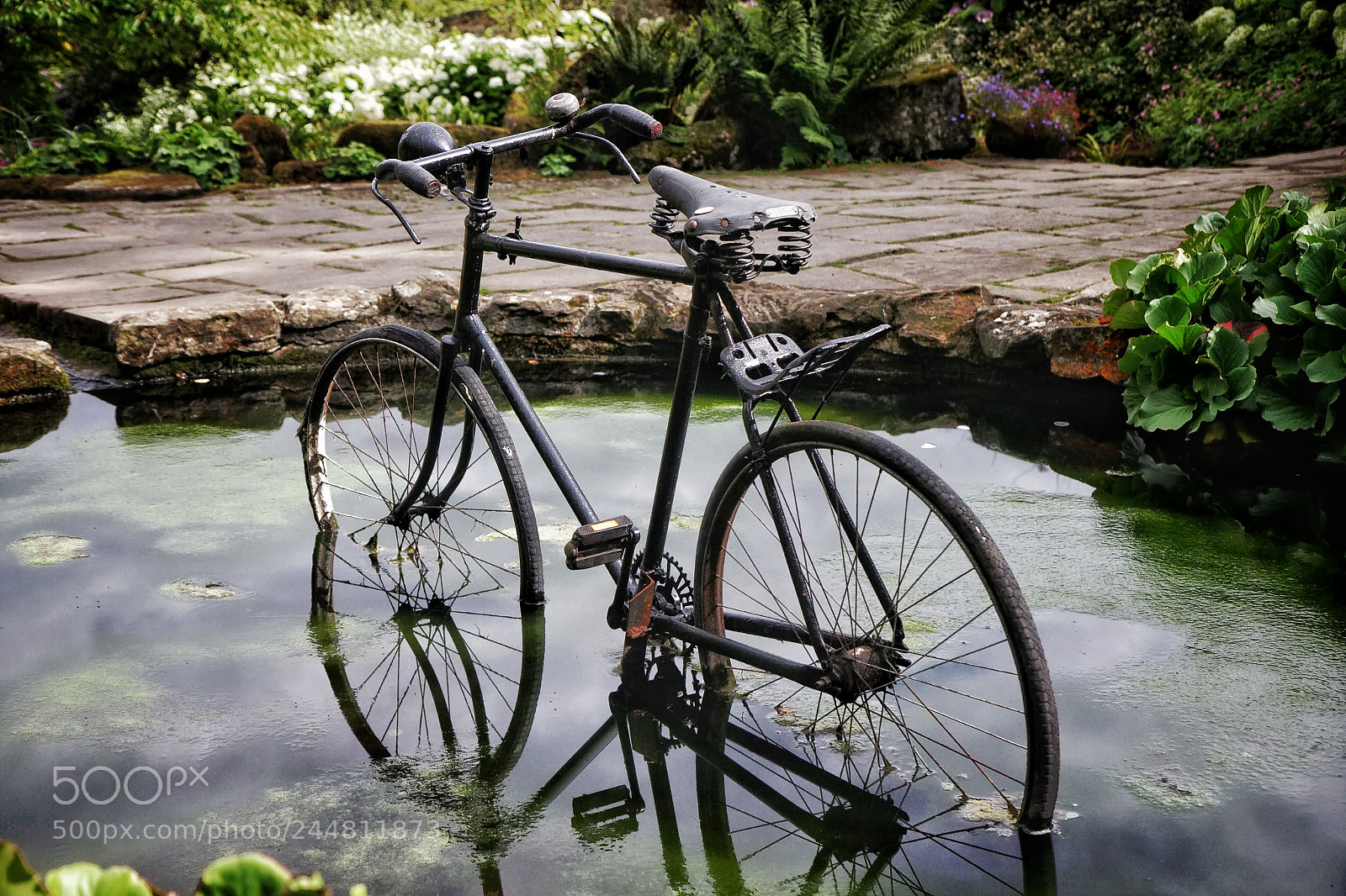 Canon EOS 40D sample photo. Reflections photography