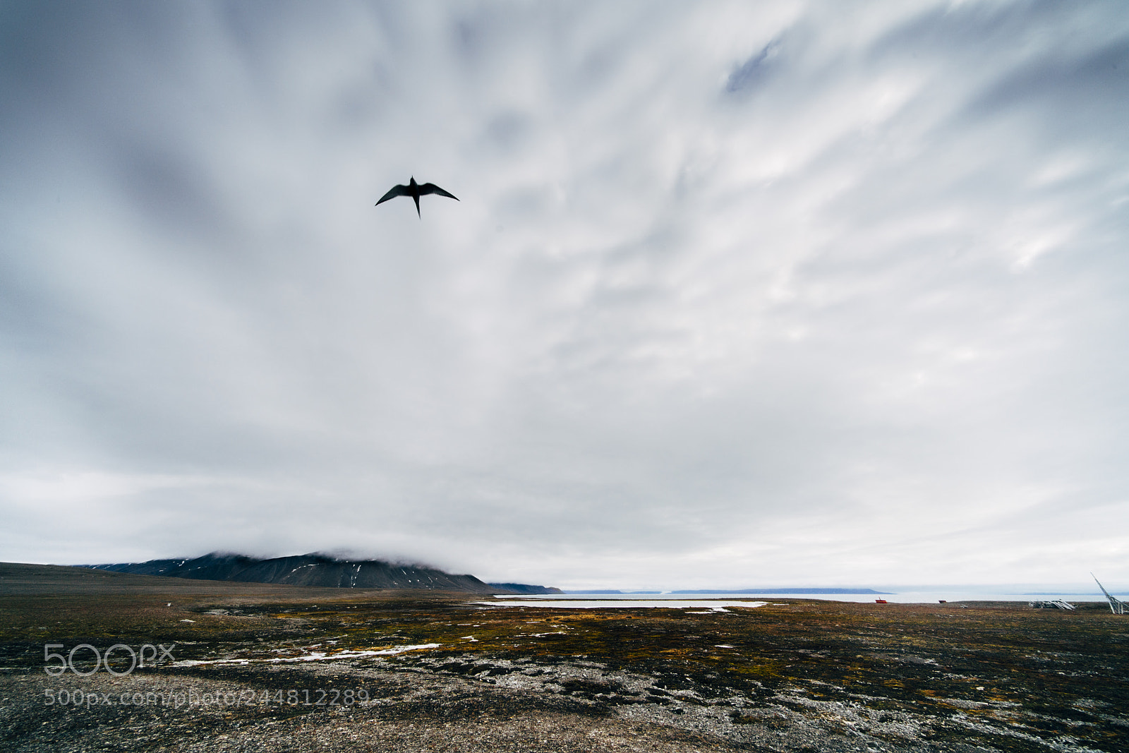 Sony a7R II sample photo. Bac photography