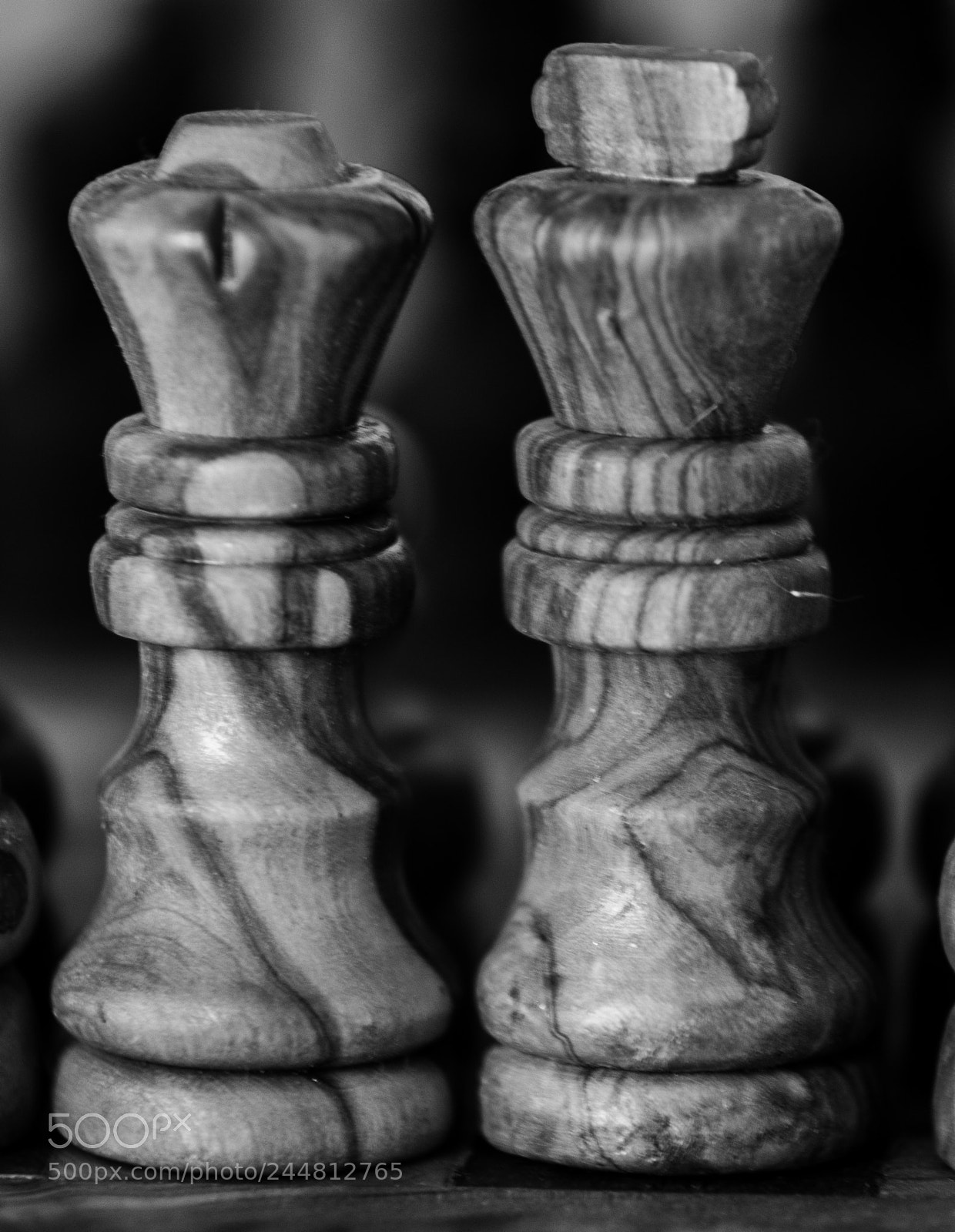 Nikon D3200 sample photo. The king and the photography