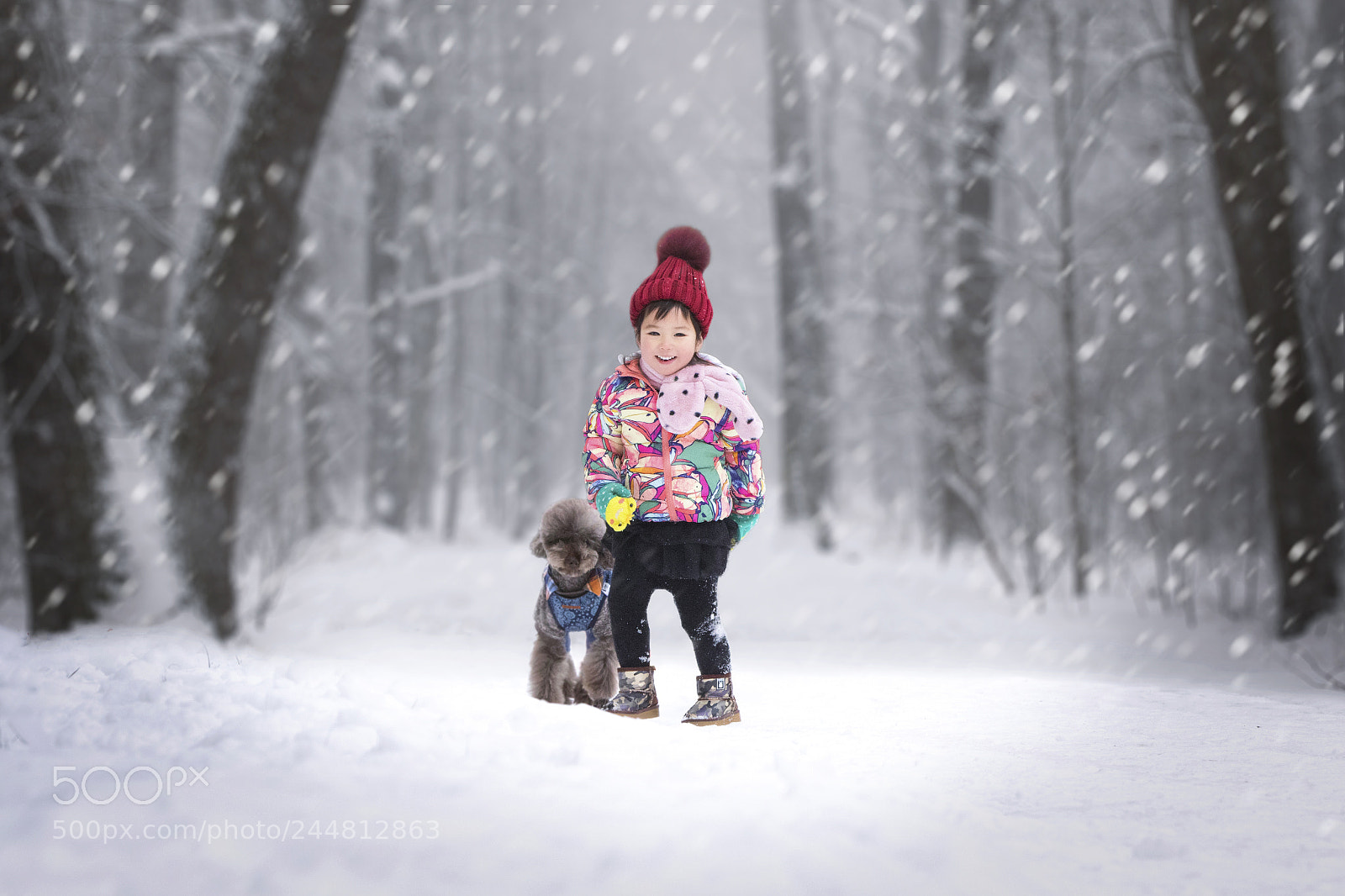 Canon EOS 7D Mark II sample photo. Untitled photography